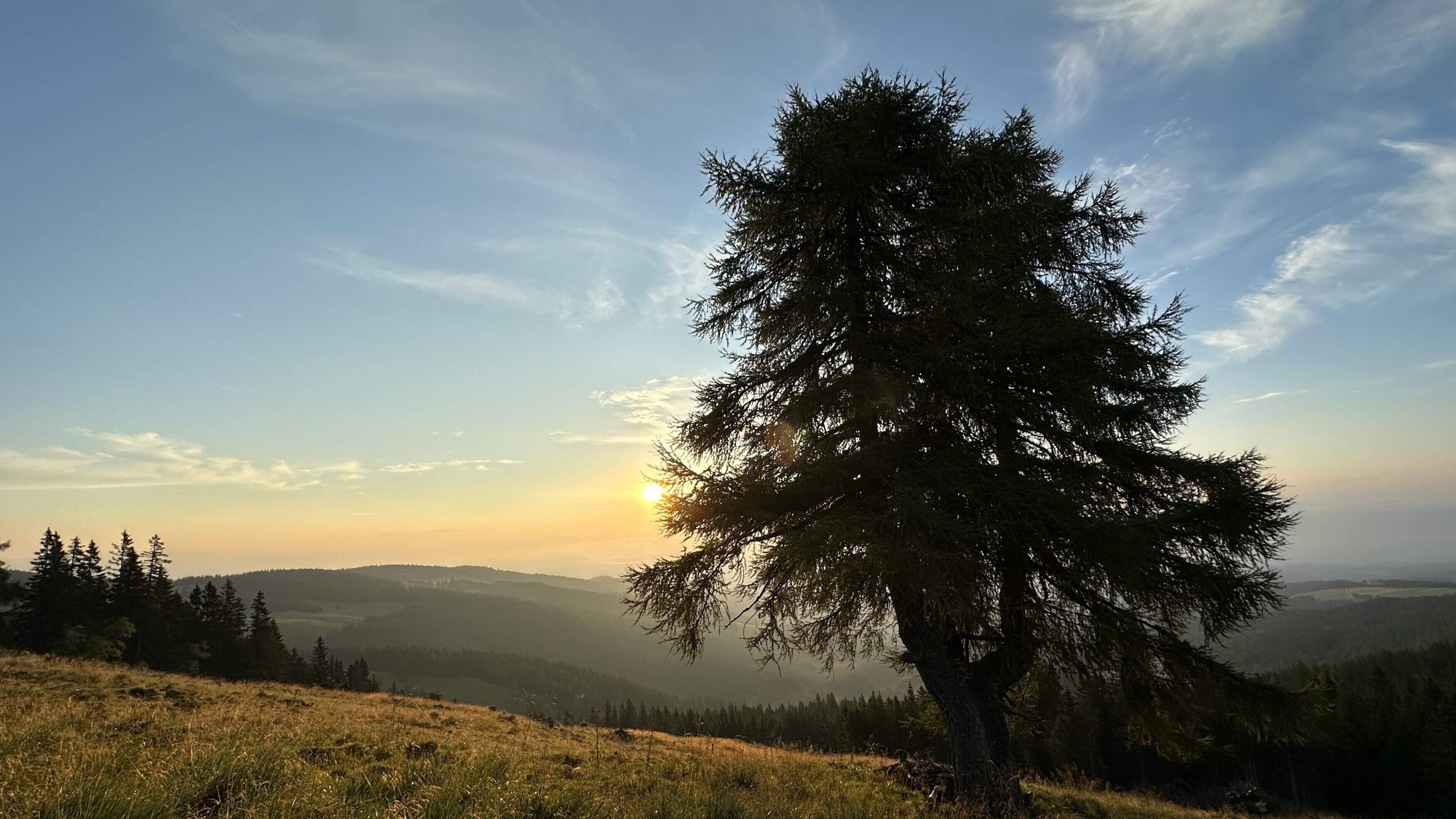 Wanderparadies Saualm – Natur und Kultur auf Schritt und Tritt