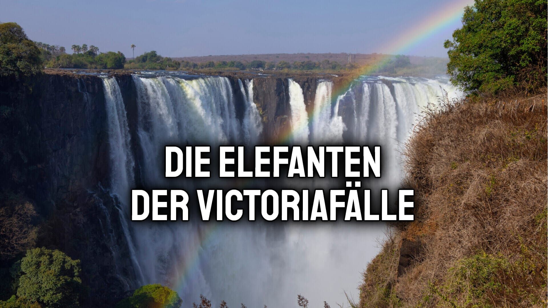 Die Elefanten der Victoriafälle