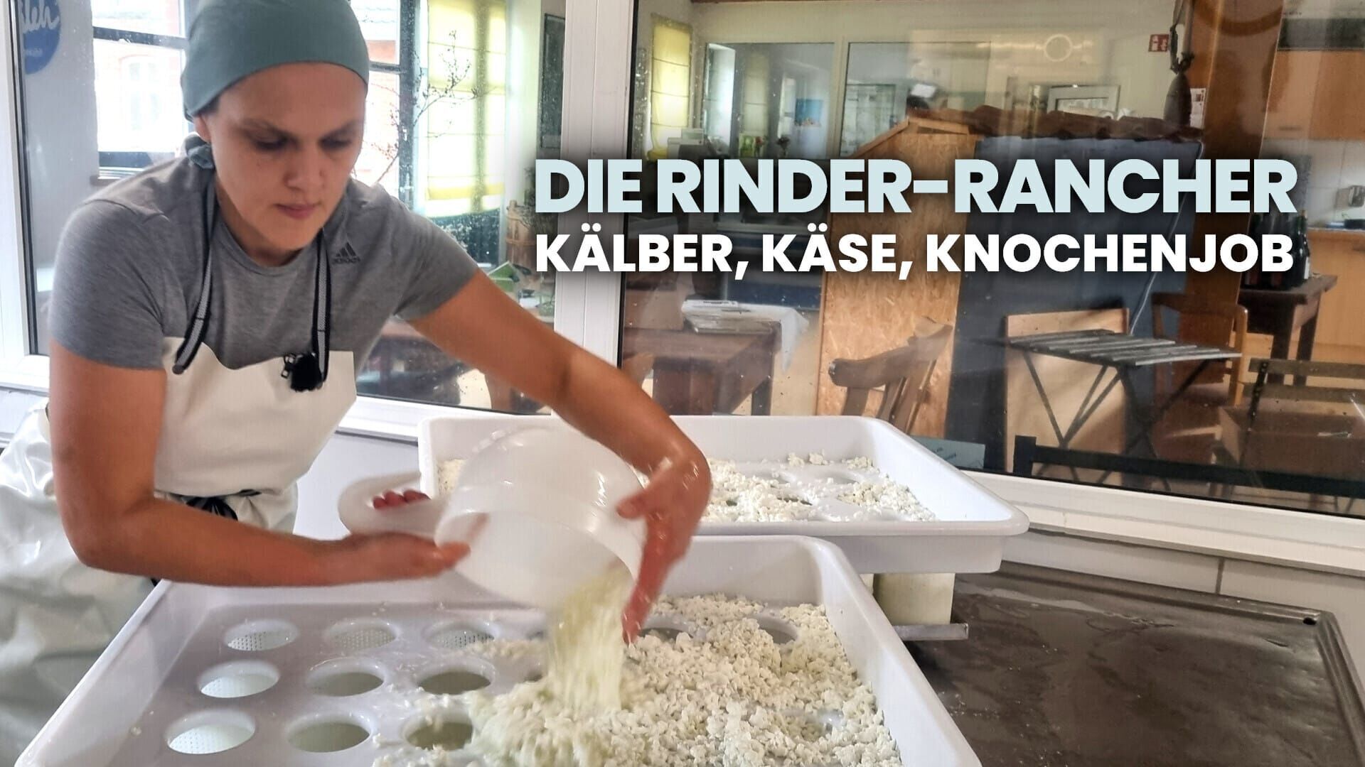 Die Rinder-Rancher