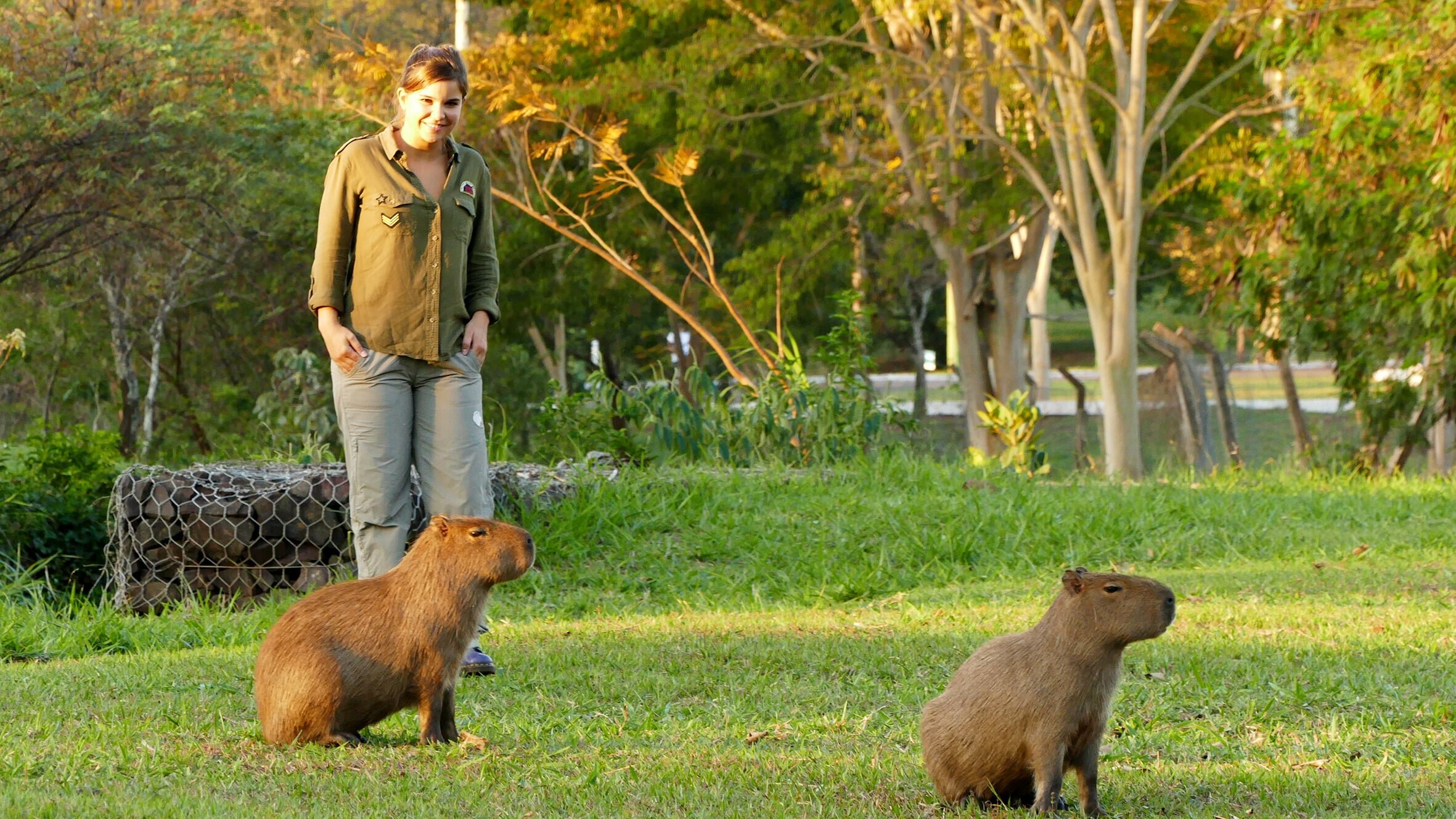 Anna und die wilden Tiere