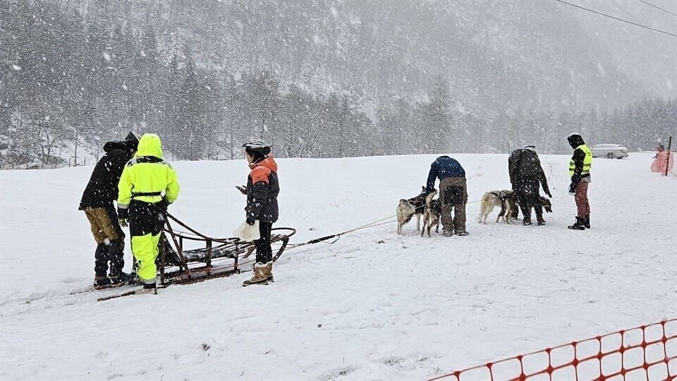 Das Camp in der Wildnis