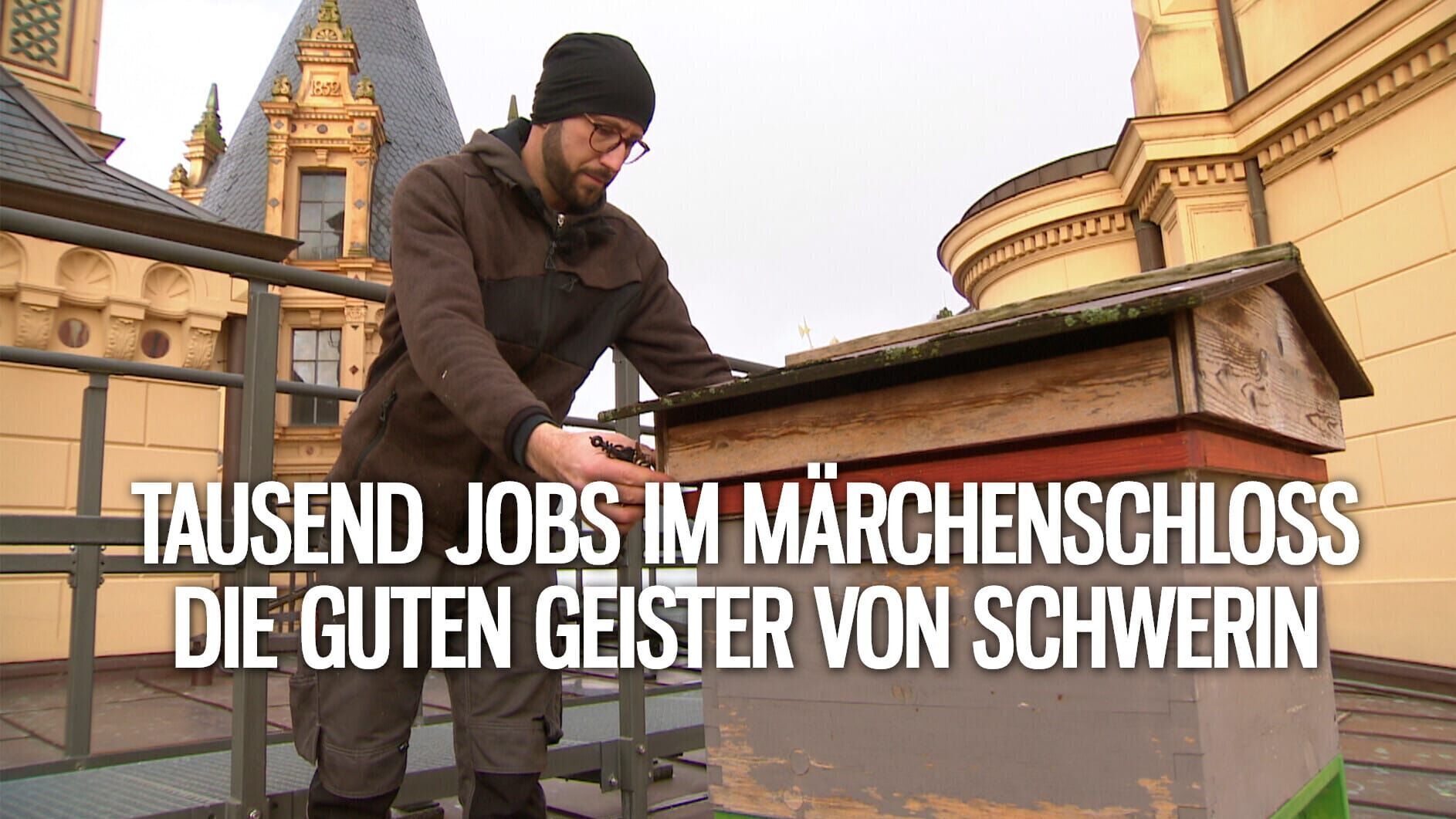 Tausend Jobs im Märchenschloss