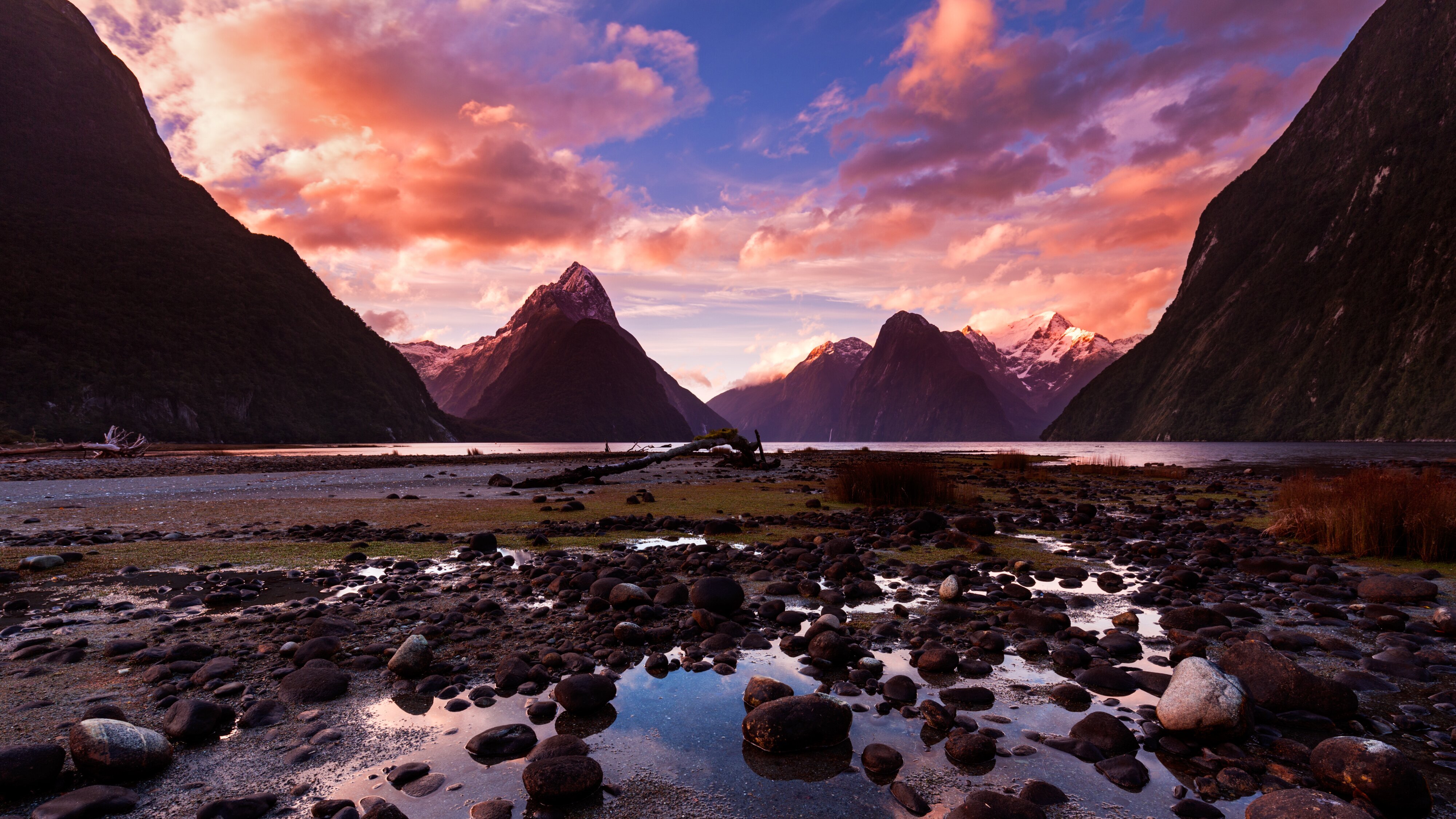Wildes Neuseeland – Inseln am Ende der Welt
