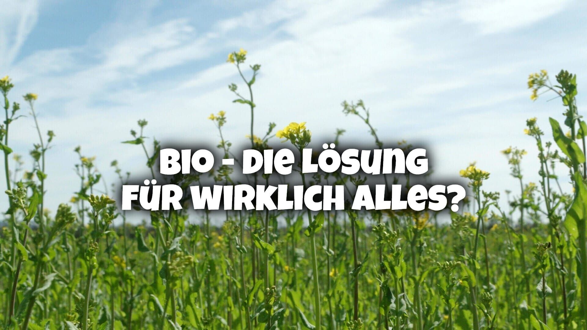 Bio: die Lösung für wirklich alles?