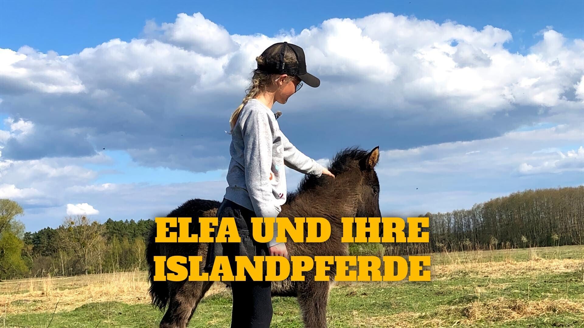 Elfa und ihre Islandpferde