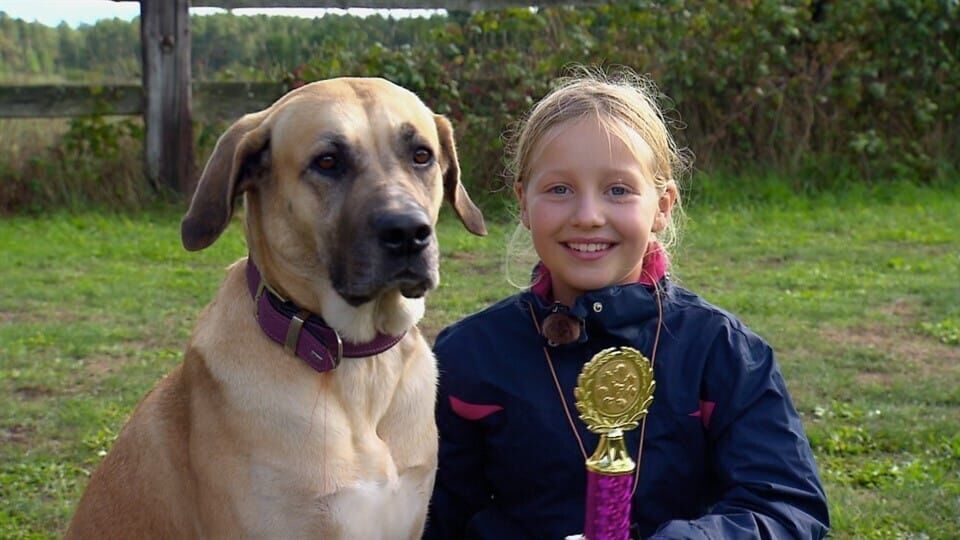 Liebste Fellnasen – Abenteuer Hundeschule