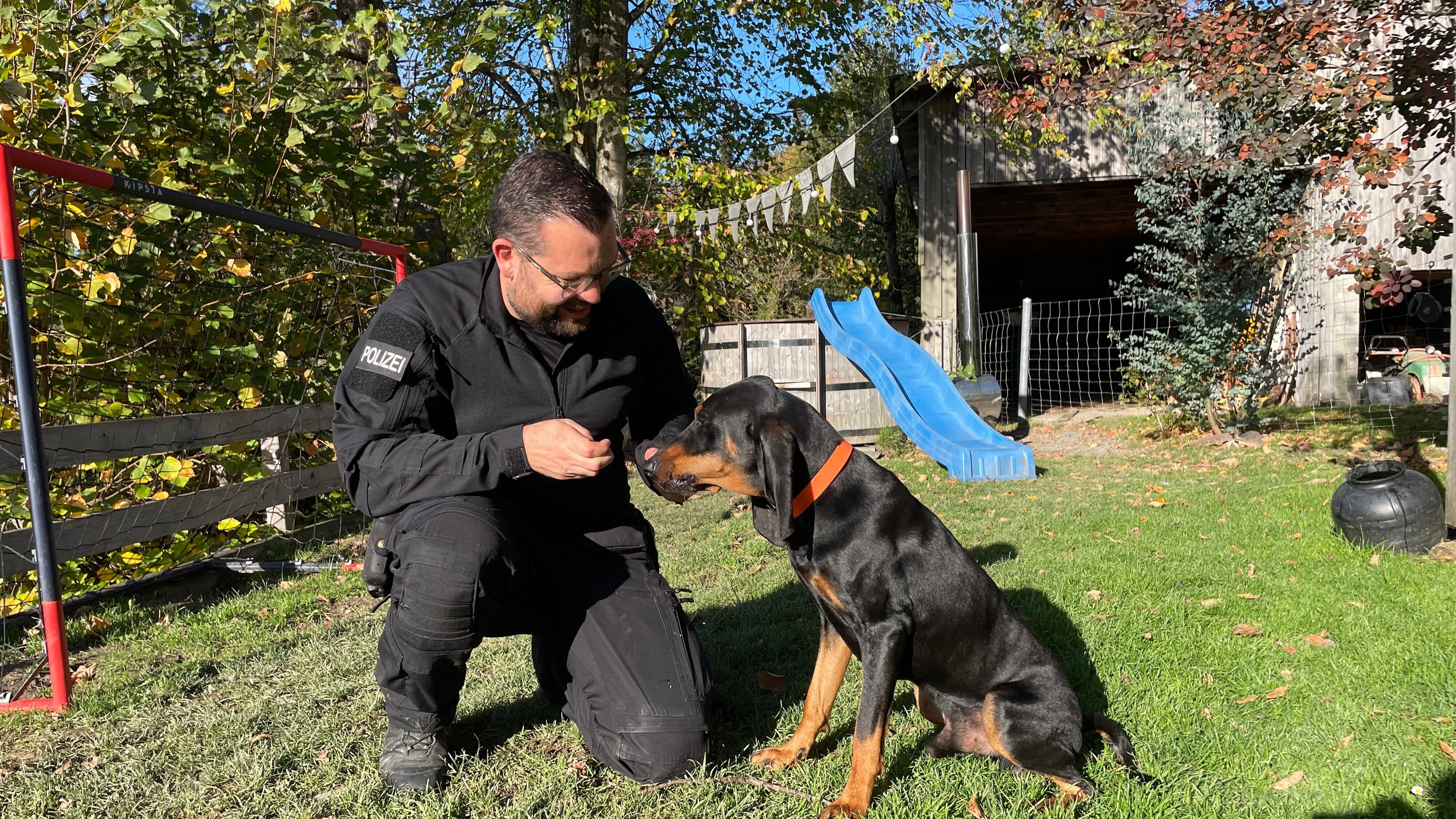 Schweizer Hundegeschichten: Laufhund Lilly und die Appenzeller