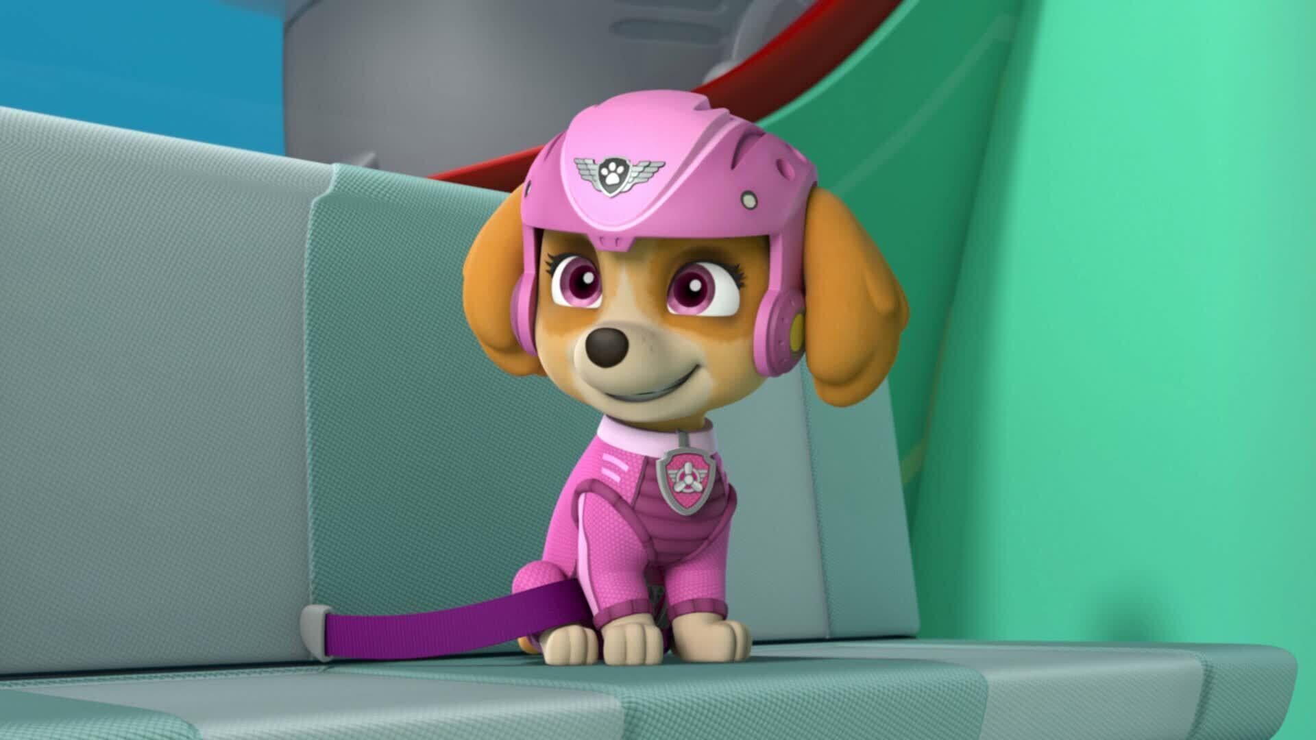 PAW Patrol – Helfer auf vier Pfoten