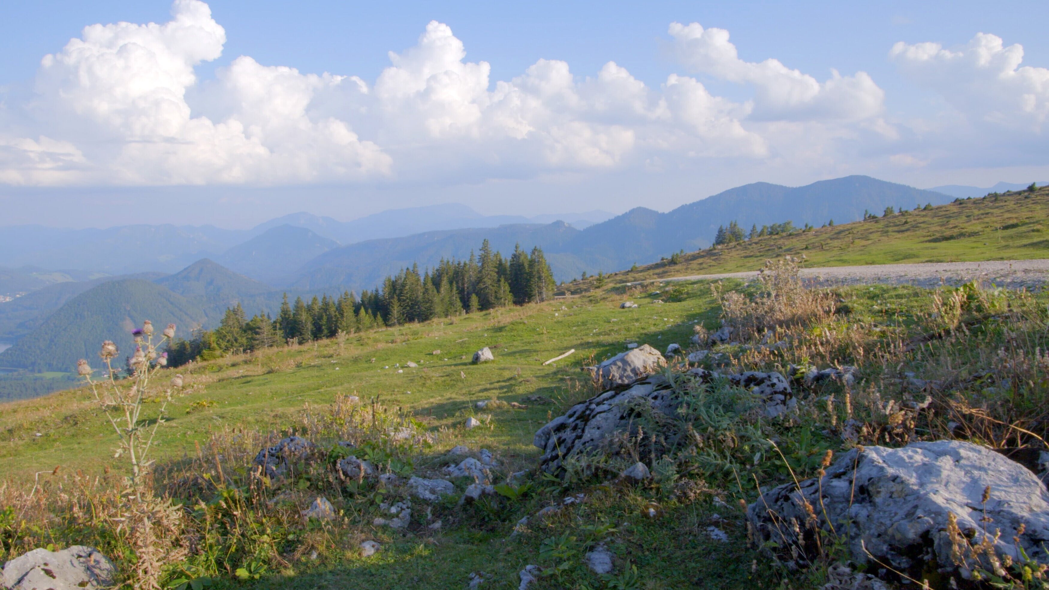 Almen in Niederösterreich