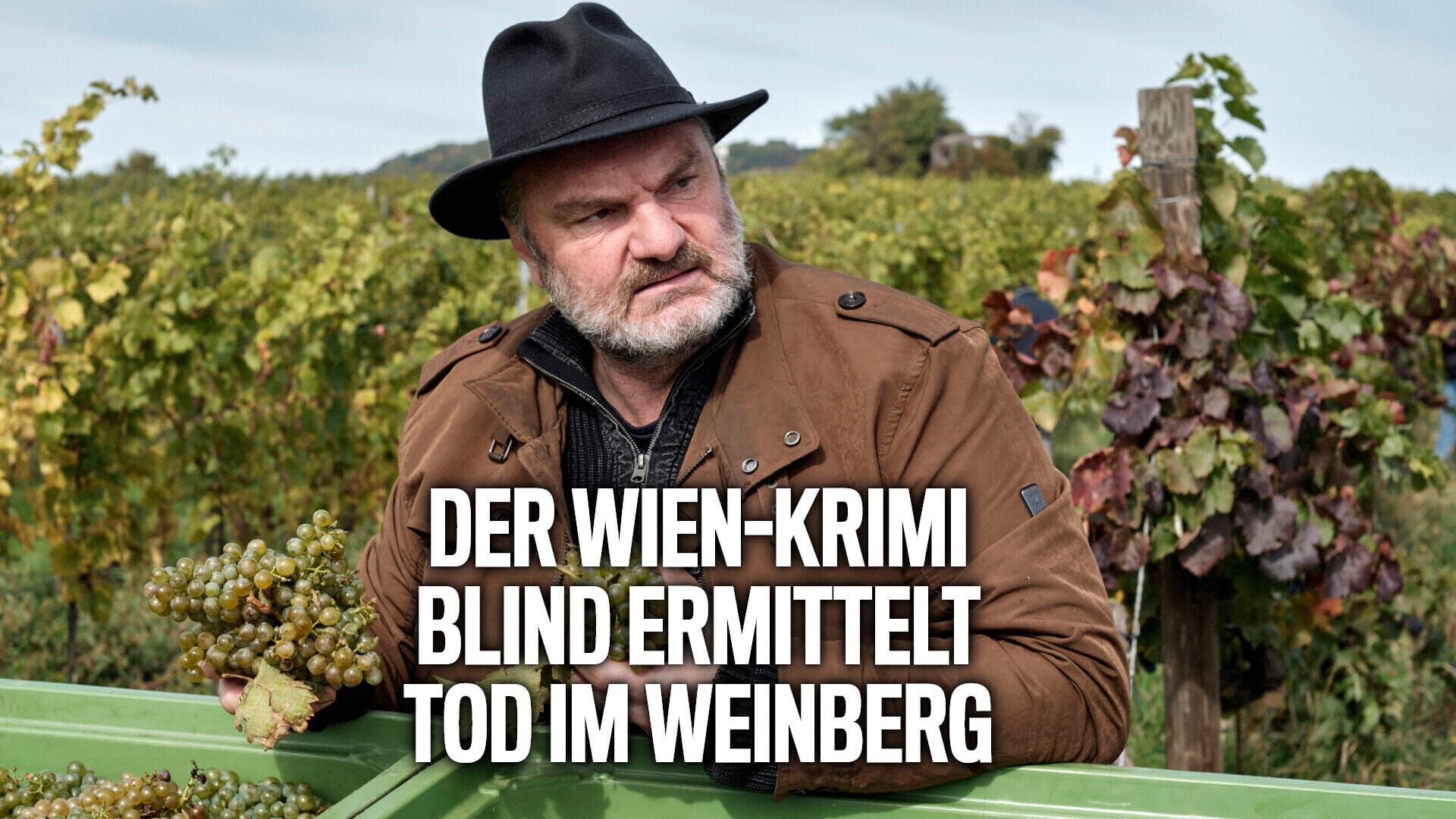 Blind ermittelt – Tod im Weinberg