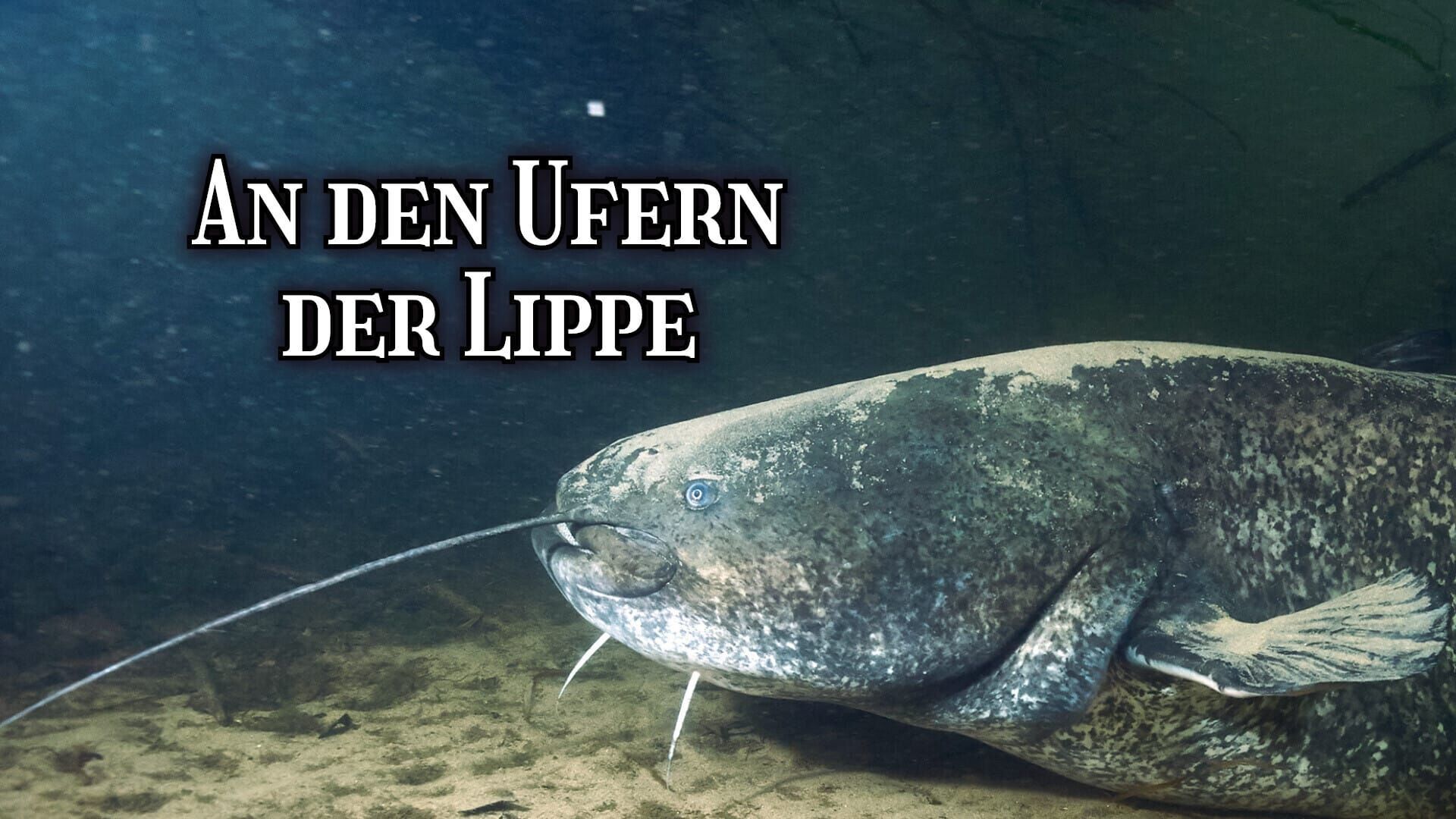 An den Ufern der Lippe