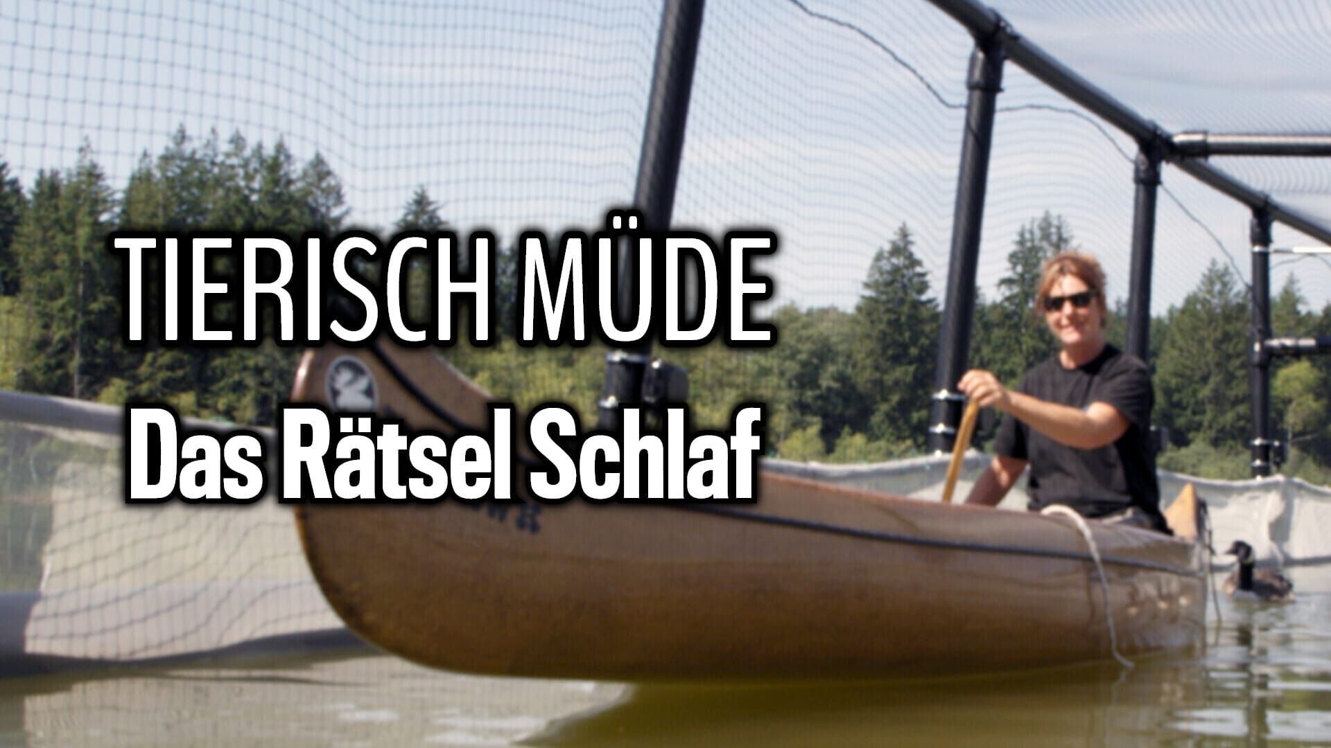 Tierisch müde – Das Rätsel Schlaf