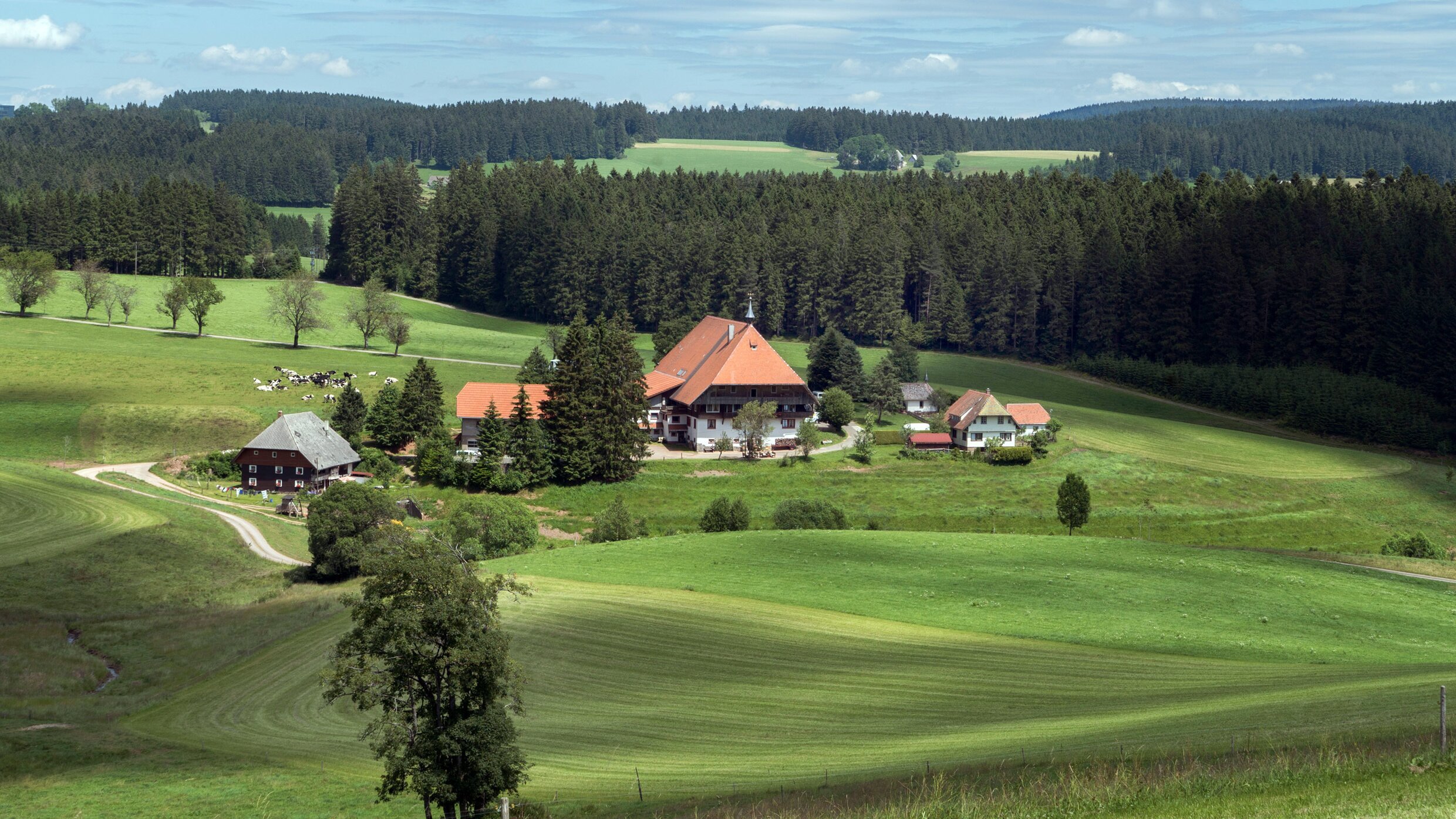 Die Fallers – Eine Schwarzwaldfamilie