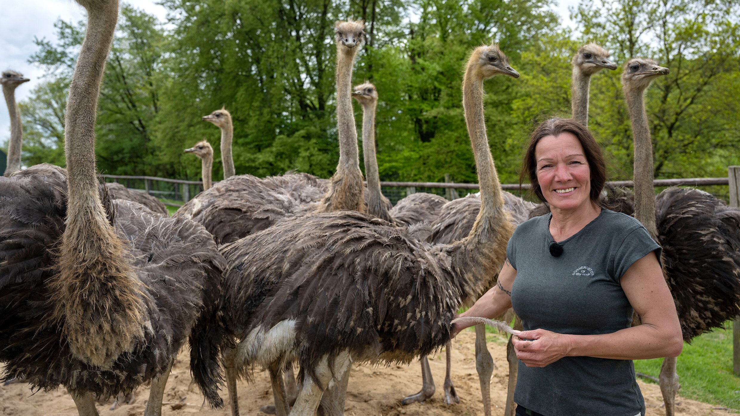 Hofgeschichten – Ackern zwischen Alpen und Ostsee