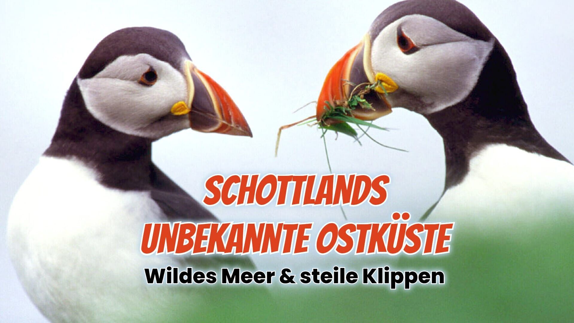 Schottlands unbekannte Ostküste