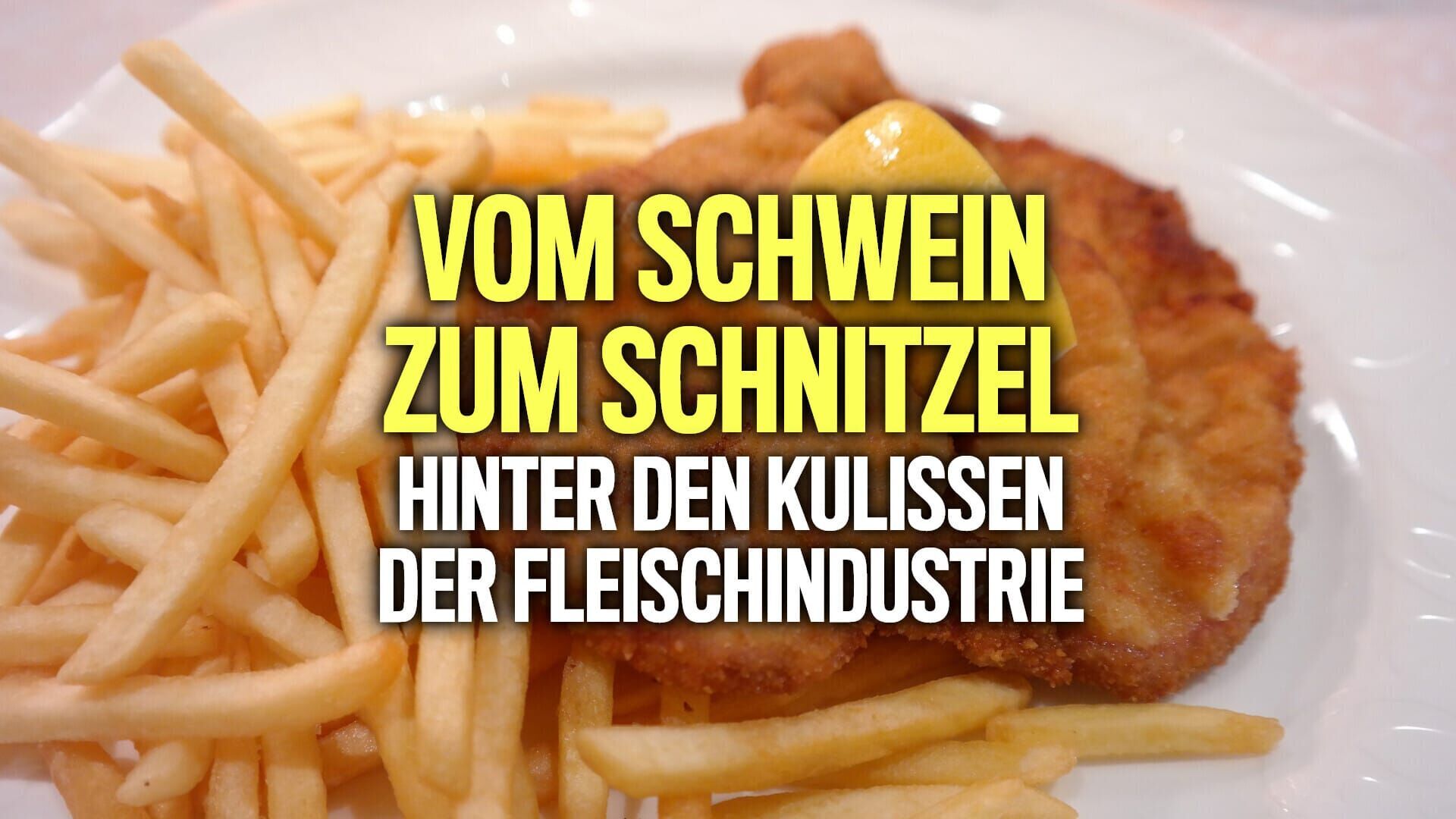 Vom Schwein zum Schnitzel – Hinter den Kulissen der Fleischindustrie