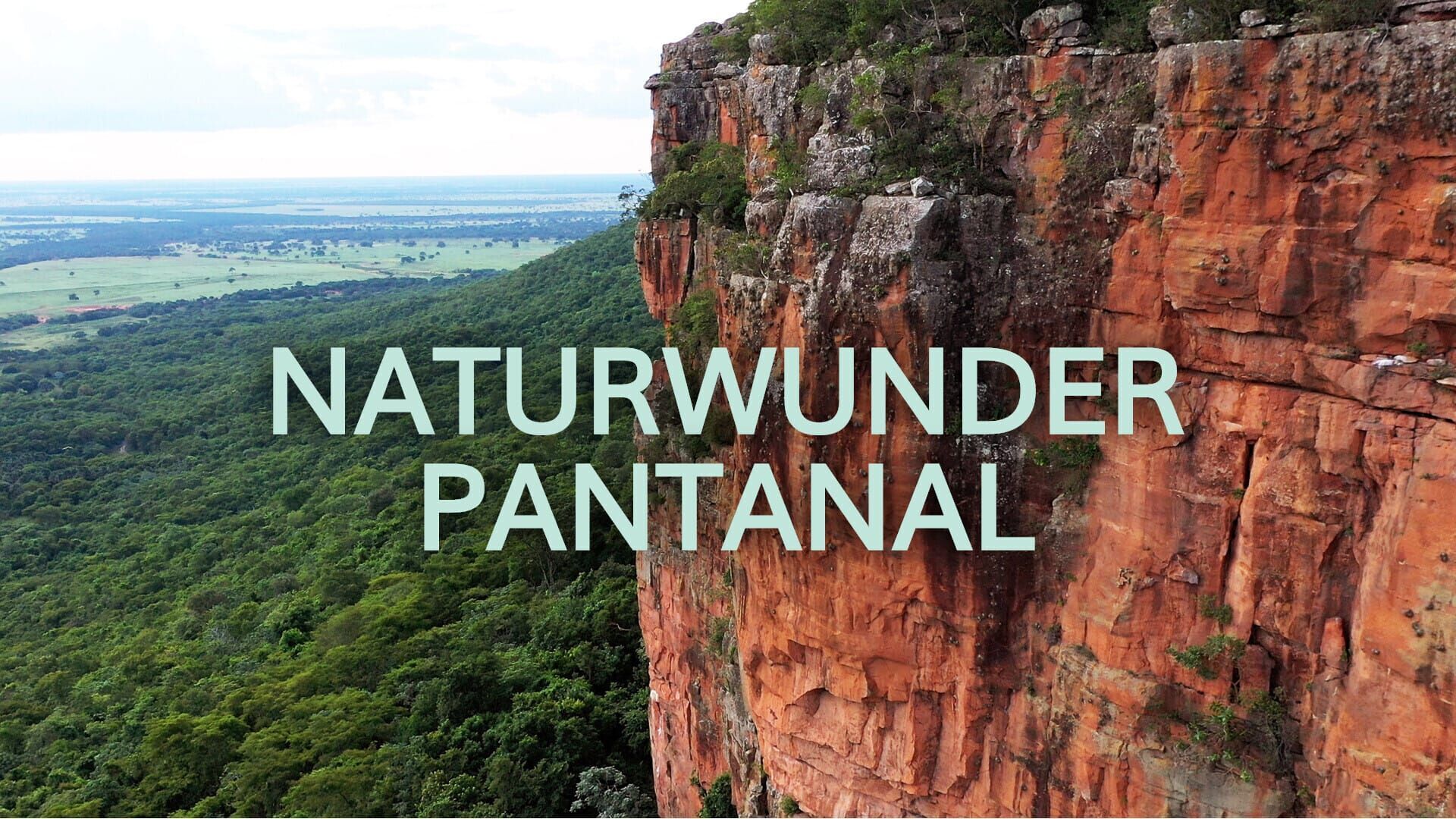 Naturwunder Pantanal