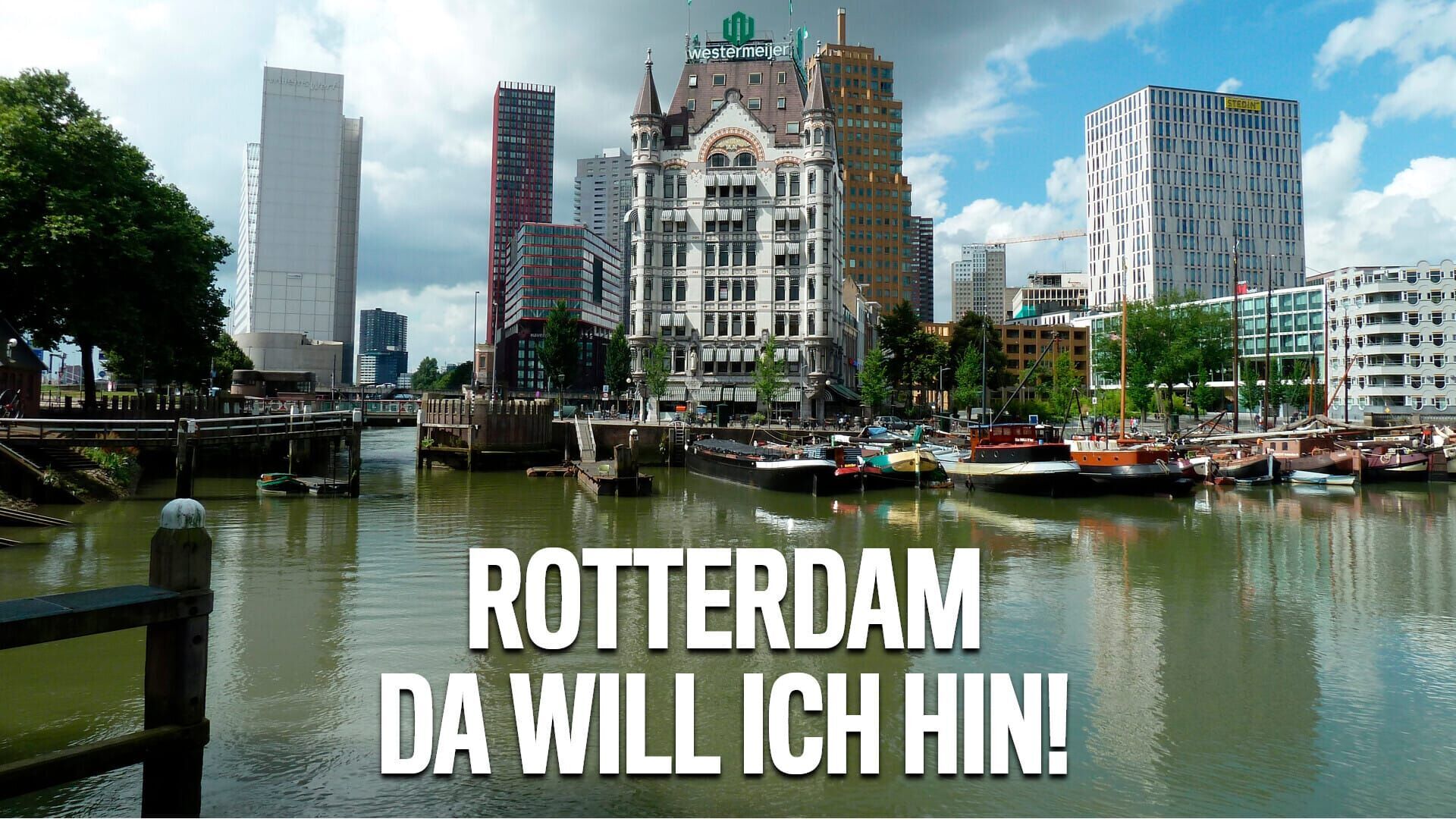 Rotterdam, da will ich hin!