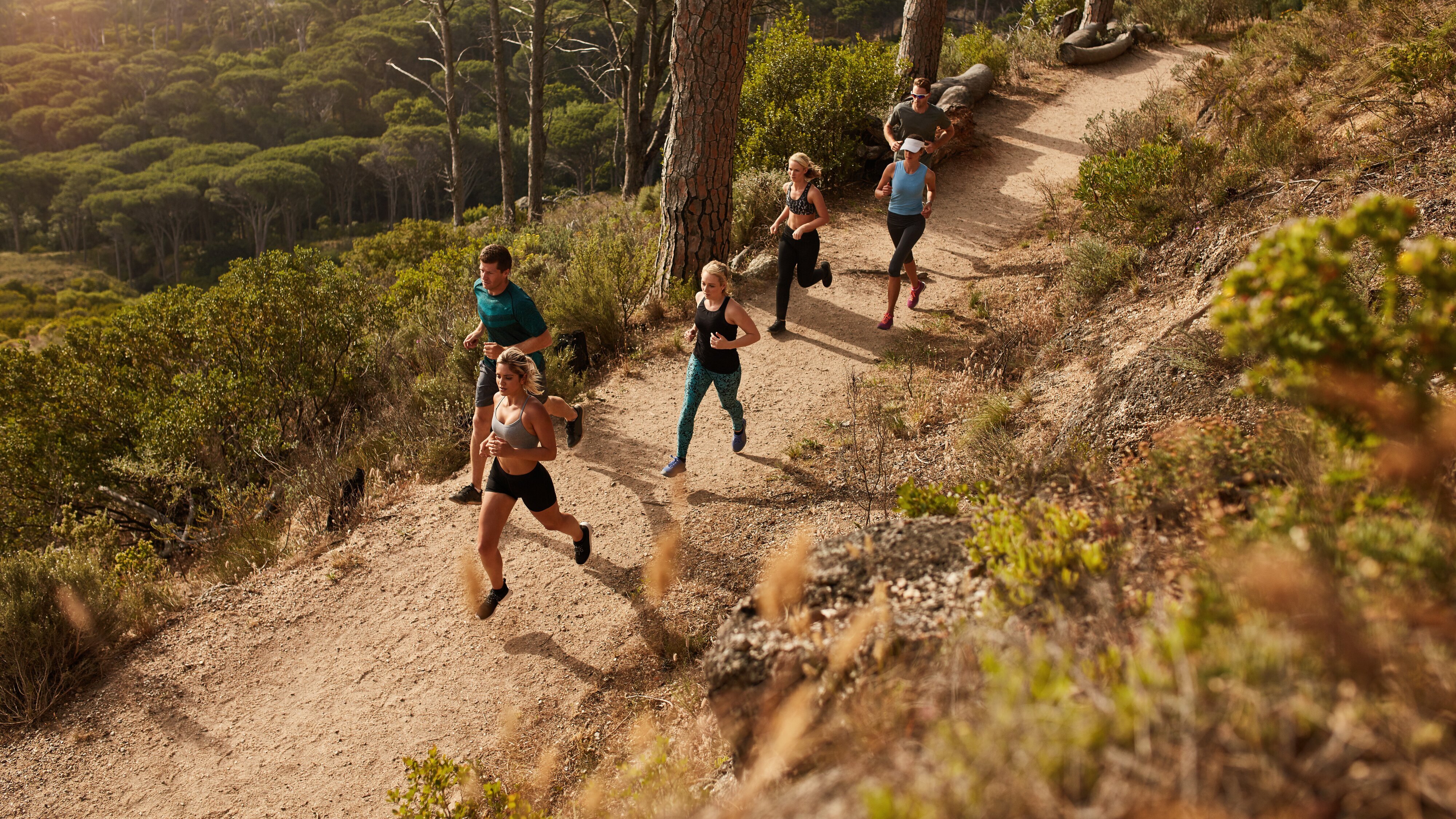 Trail: GT World Series
