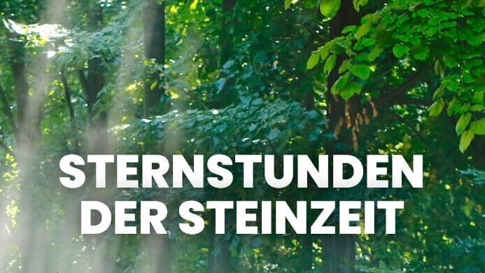 Sternstunden der Steinzeit