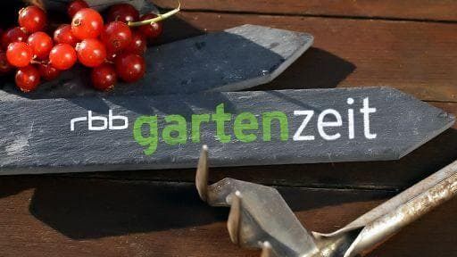 Gartenzeit