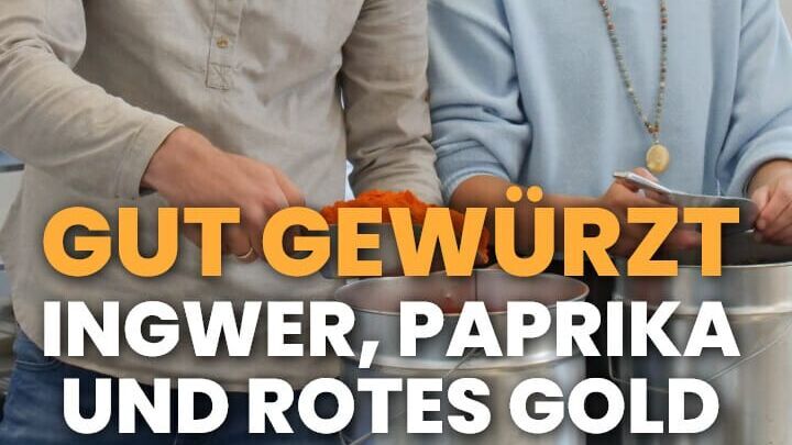 plan b: Gut gewürzt