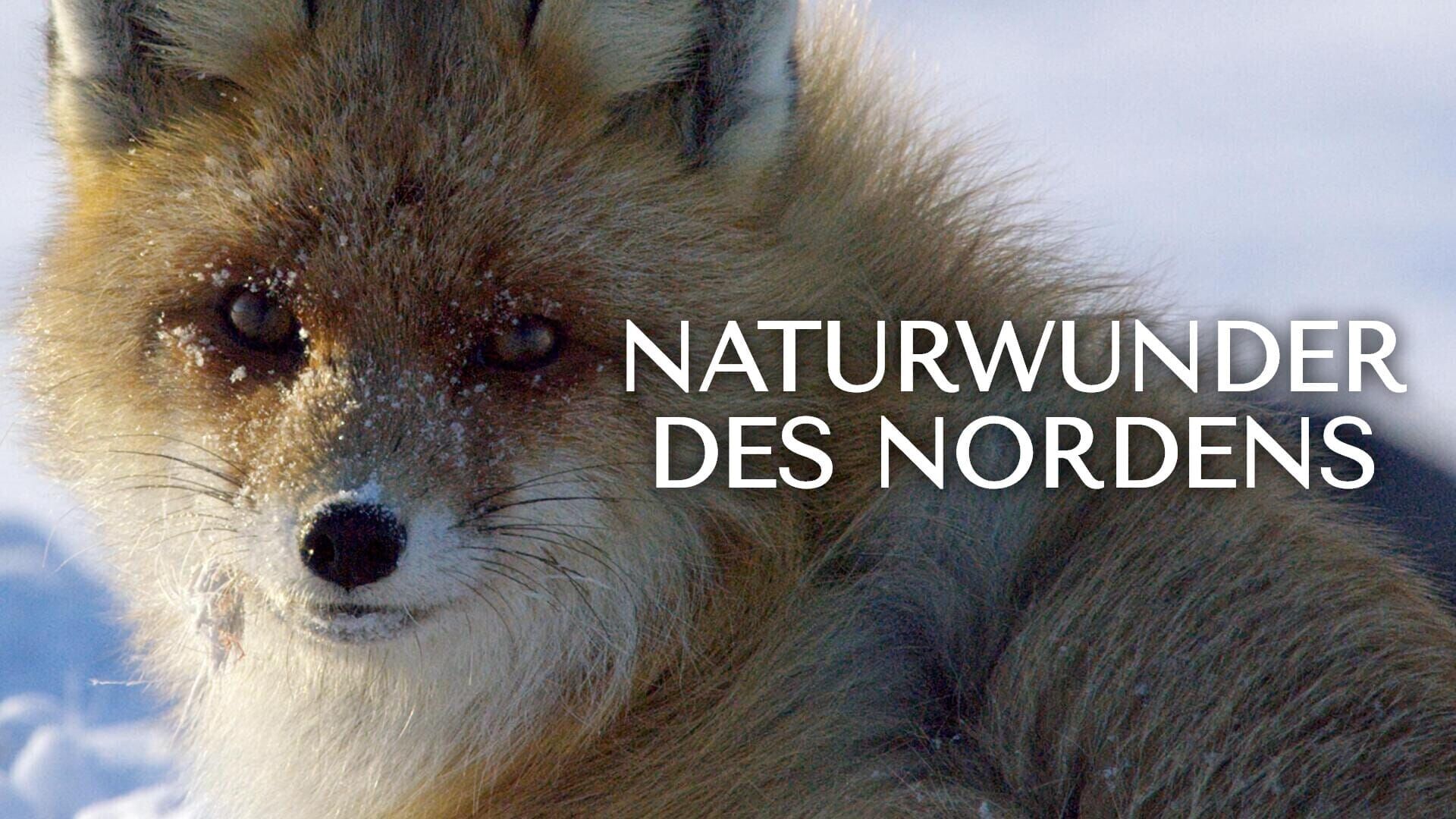 Naturwunder des Nordens