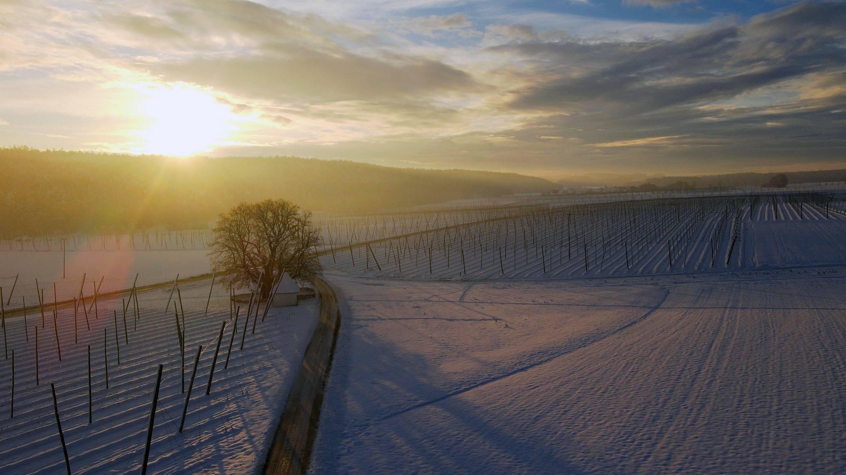 Hopfengärten und wilde Natur – Die Hallertau