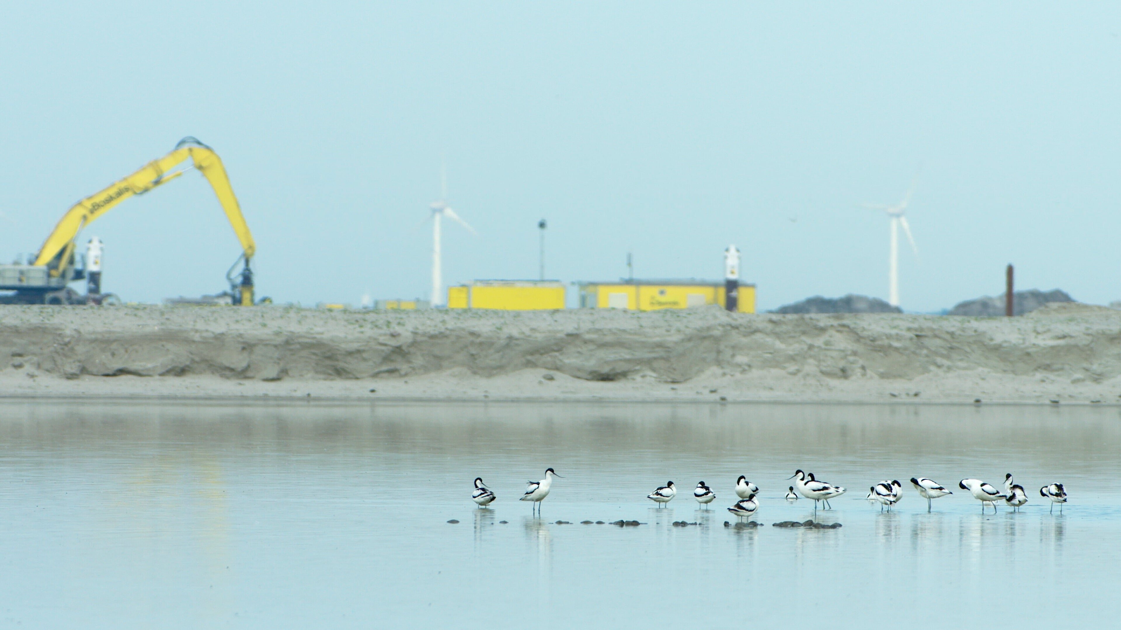 Niederlande: Neue Naturinseln im Markermeer