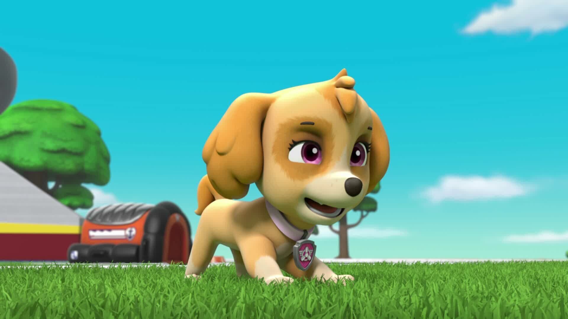 PAW Patrol – Helfer auf vier Pfoten