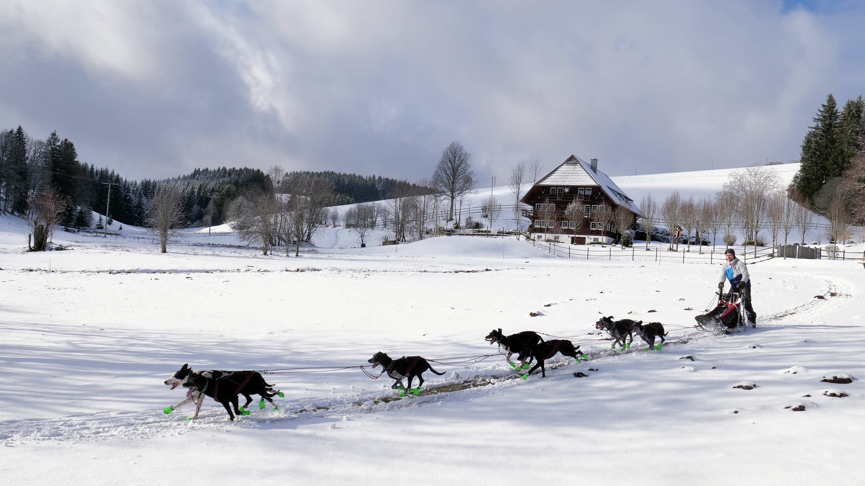 Ein Winter im Schwarzwald