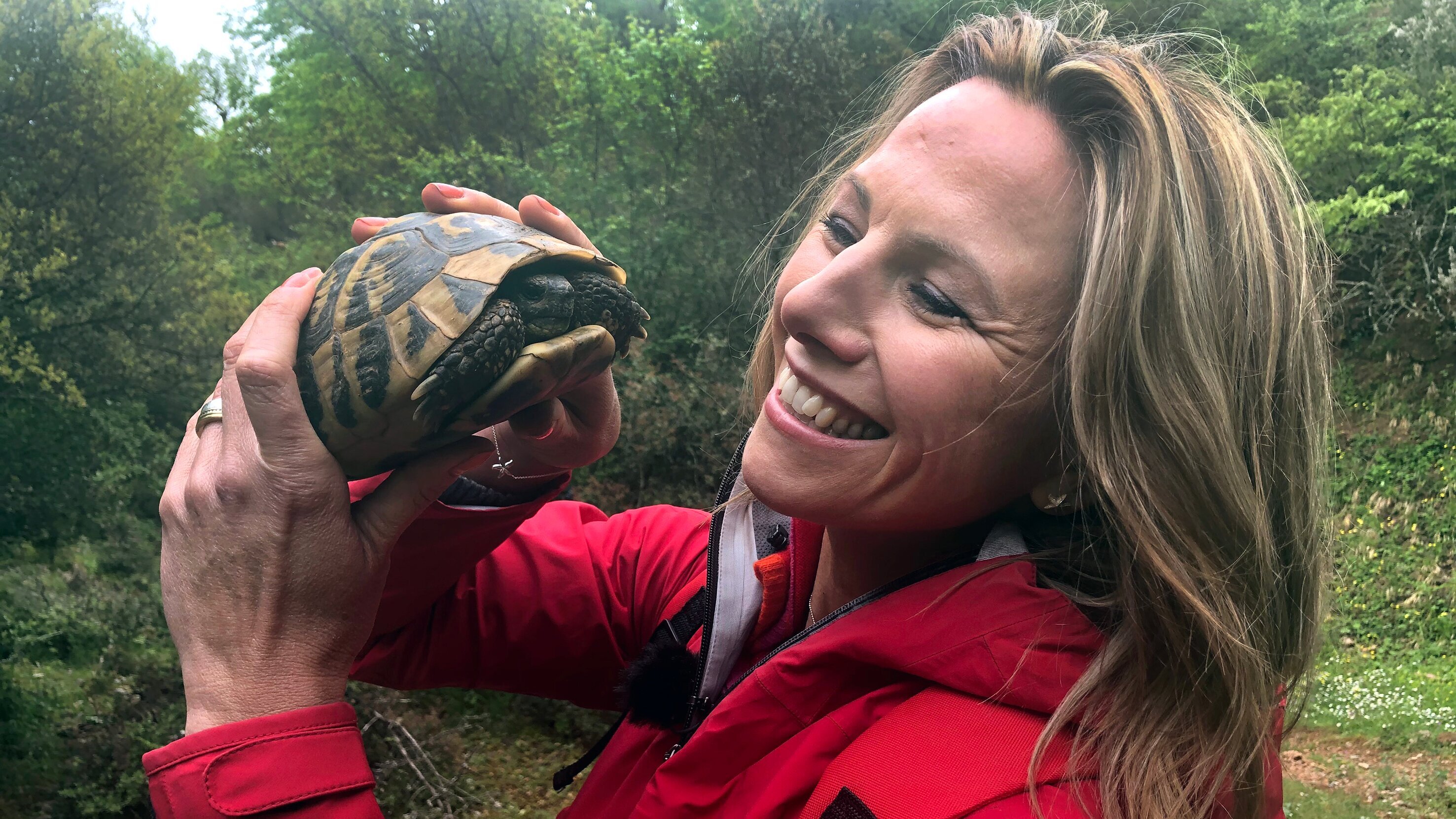 Im Frühling auf dem Peloponnes