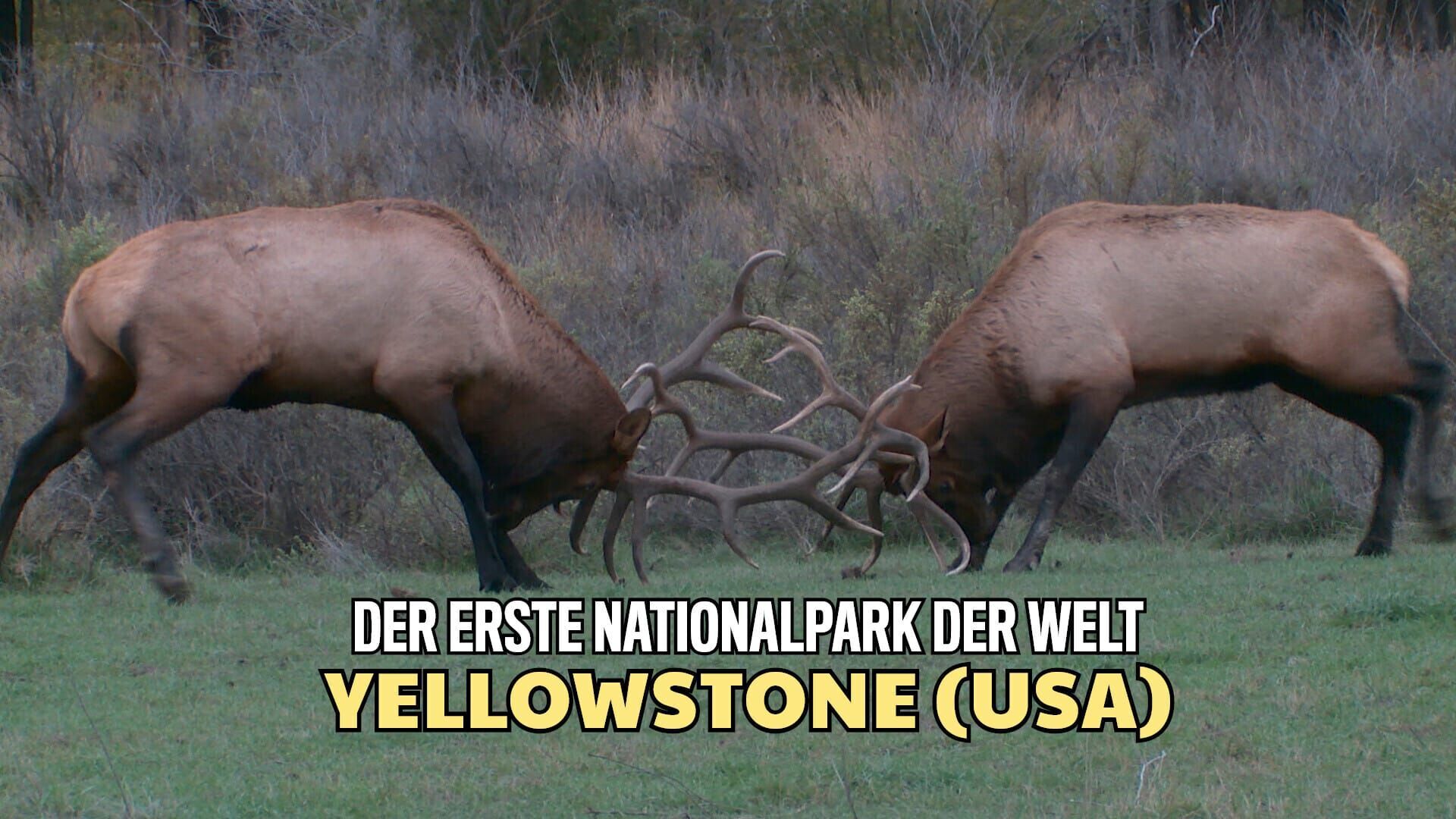 Yellowstone – Der erste Nationalpark der Welt, USA