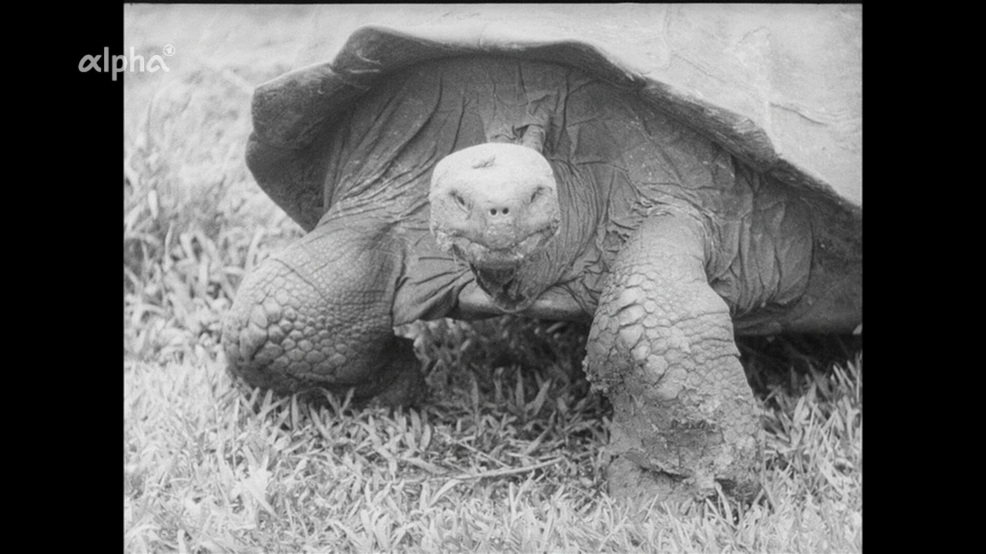 Heinz Sielmann – Galapagos