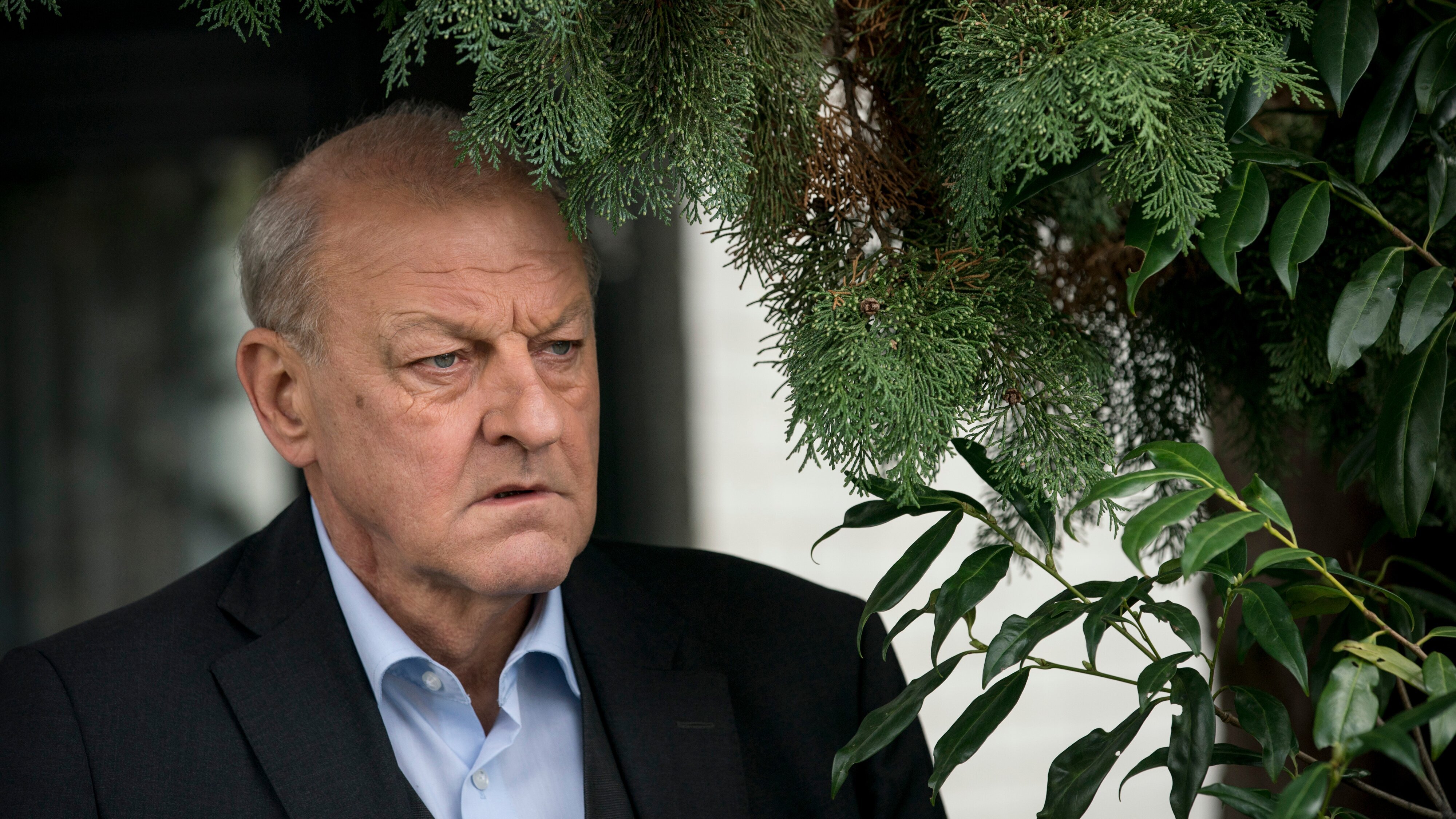 Wilsberg – Mörderische Rendite