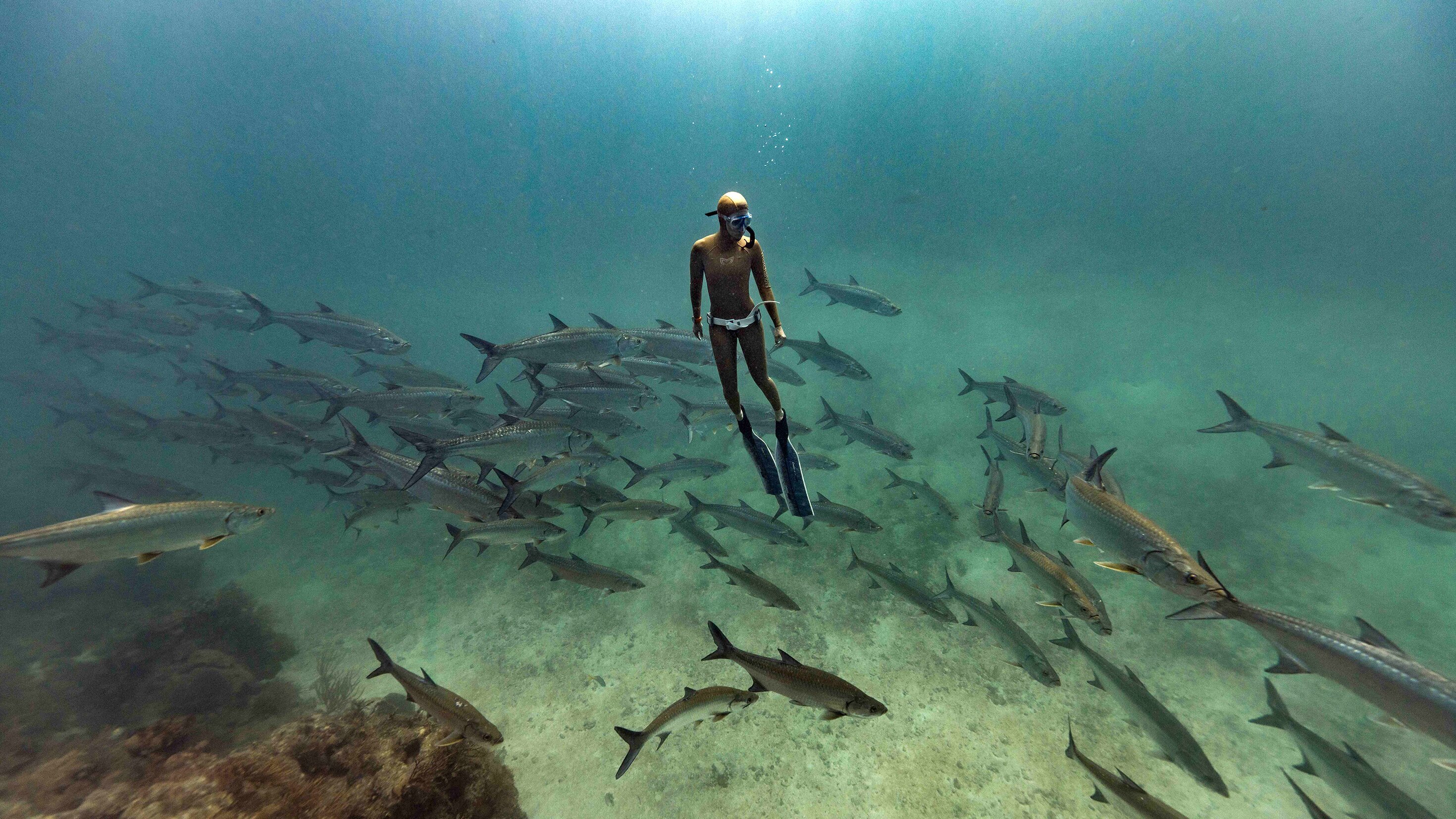 Waterwoman: In der Wasserwelt von Mexiko