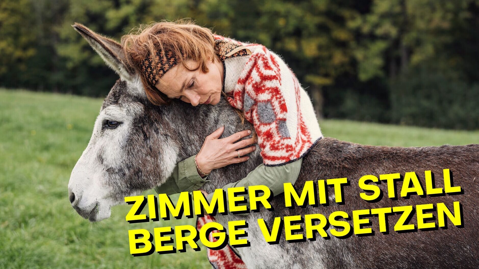 Zimmer mit Stall – Berge versetzen