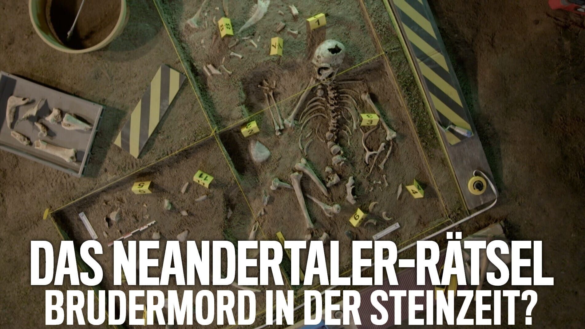 Das Neandertaler-Rätsel – Brudermord in der Steinzeit?