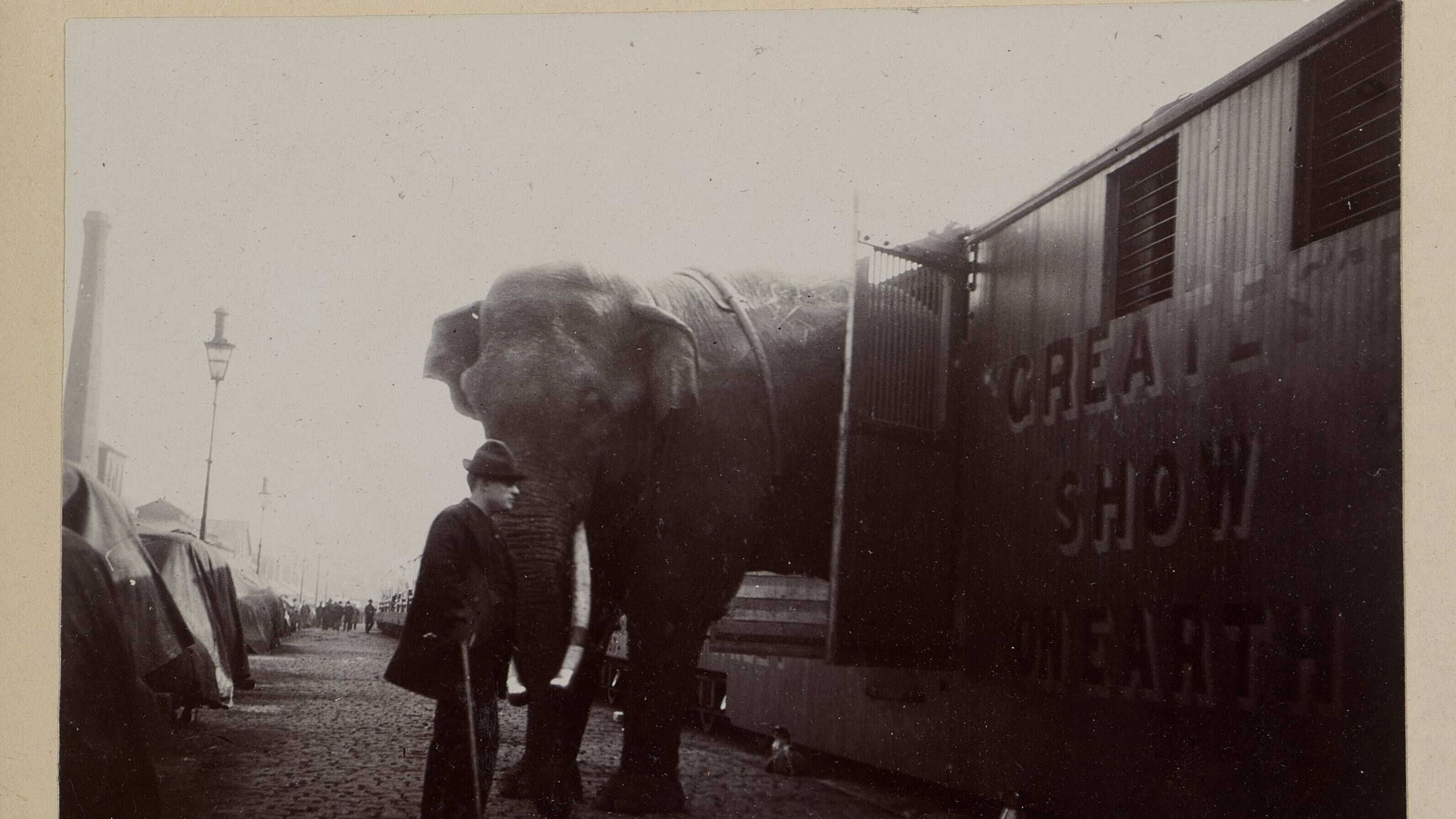 Fritz, der Elefant – Eine tragische Geschichte