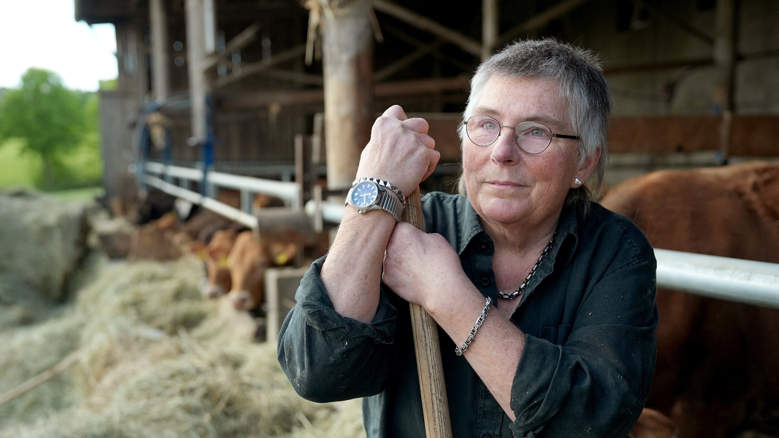 Sabines Reise zum Licht – Eine Landwirtin auf neuen Wegen