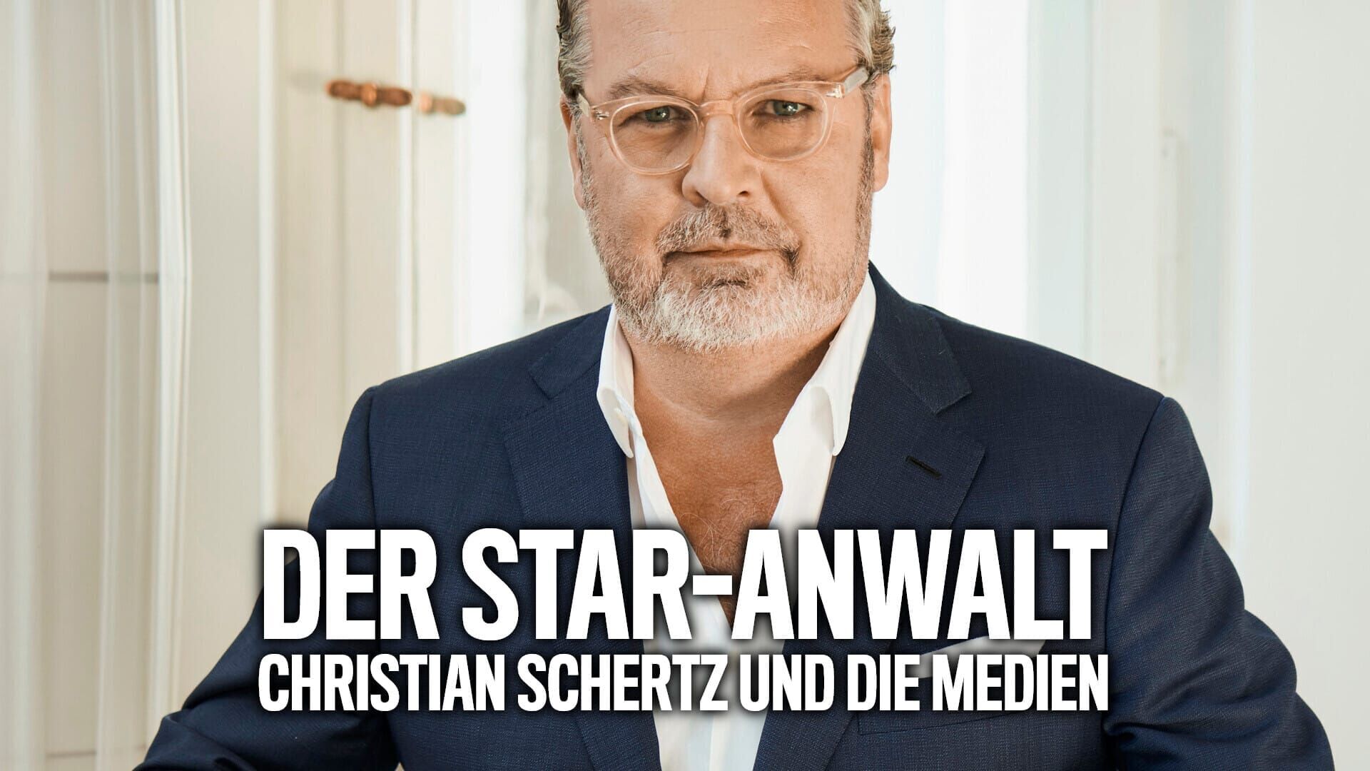 Der Star-Anwalt: Christian Schertz und die Medien