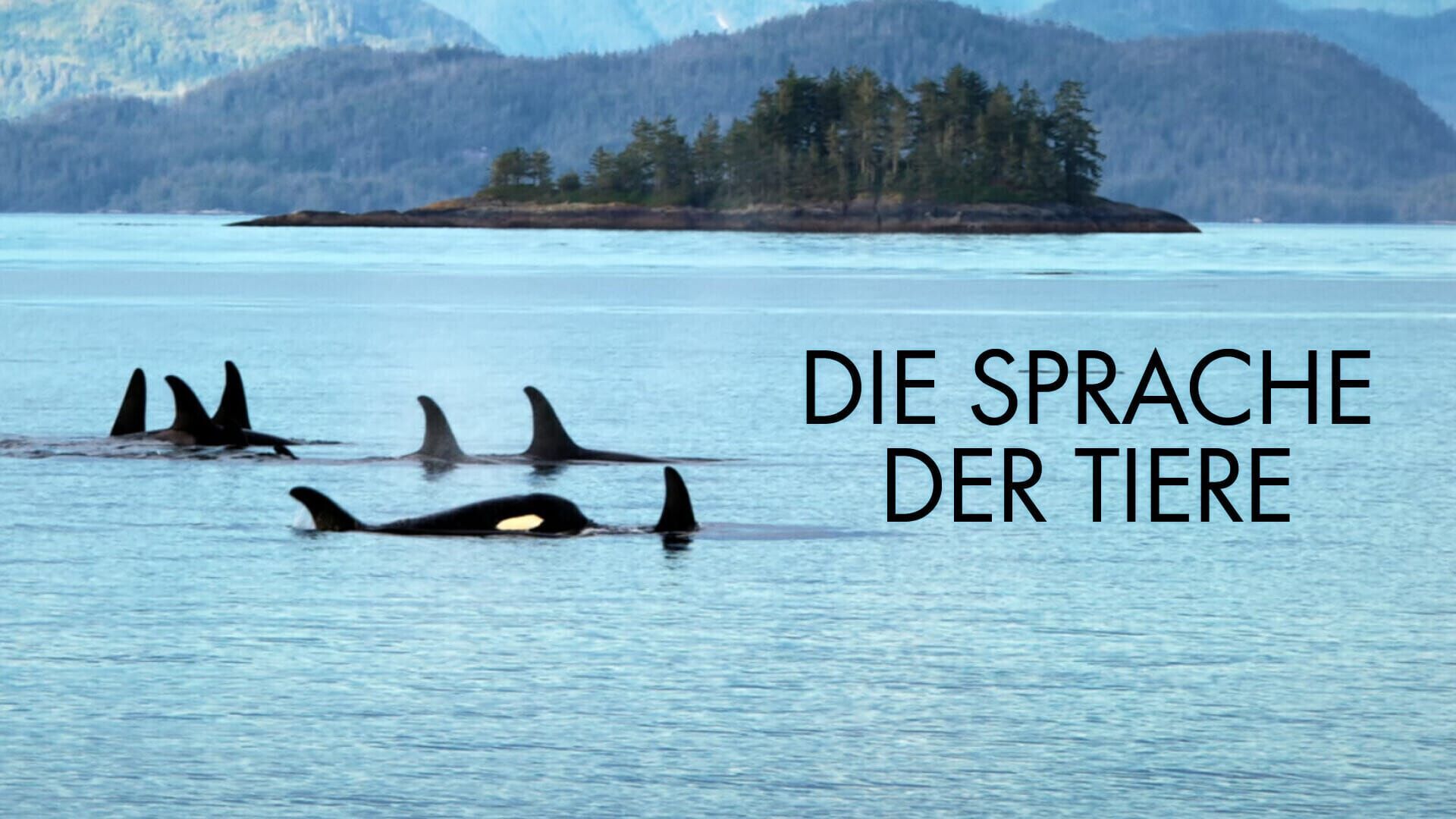 Die Sprache der Tiere