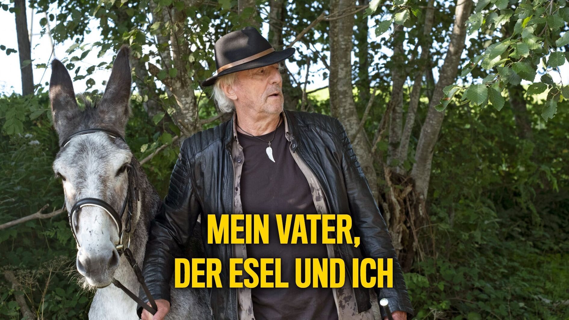 Mein Vater, der Esel und ich