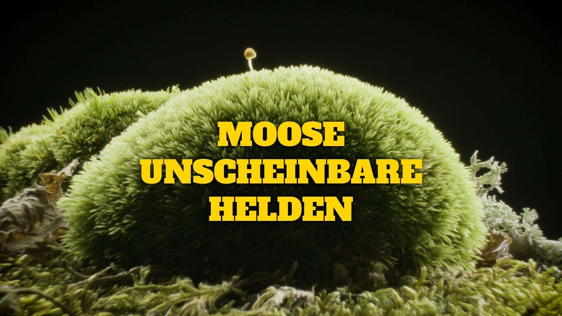 Moose, unscheinbare Helden