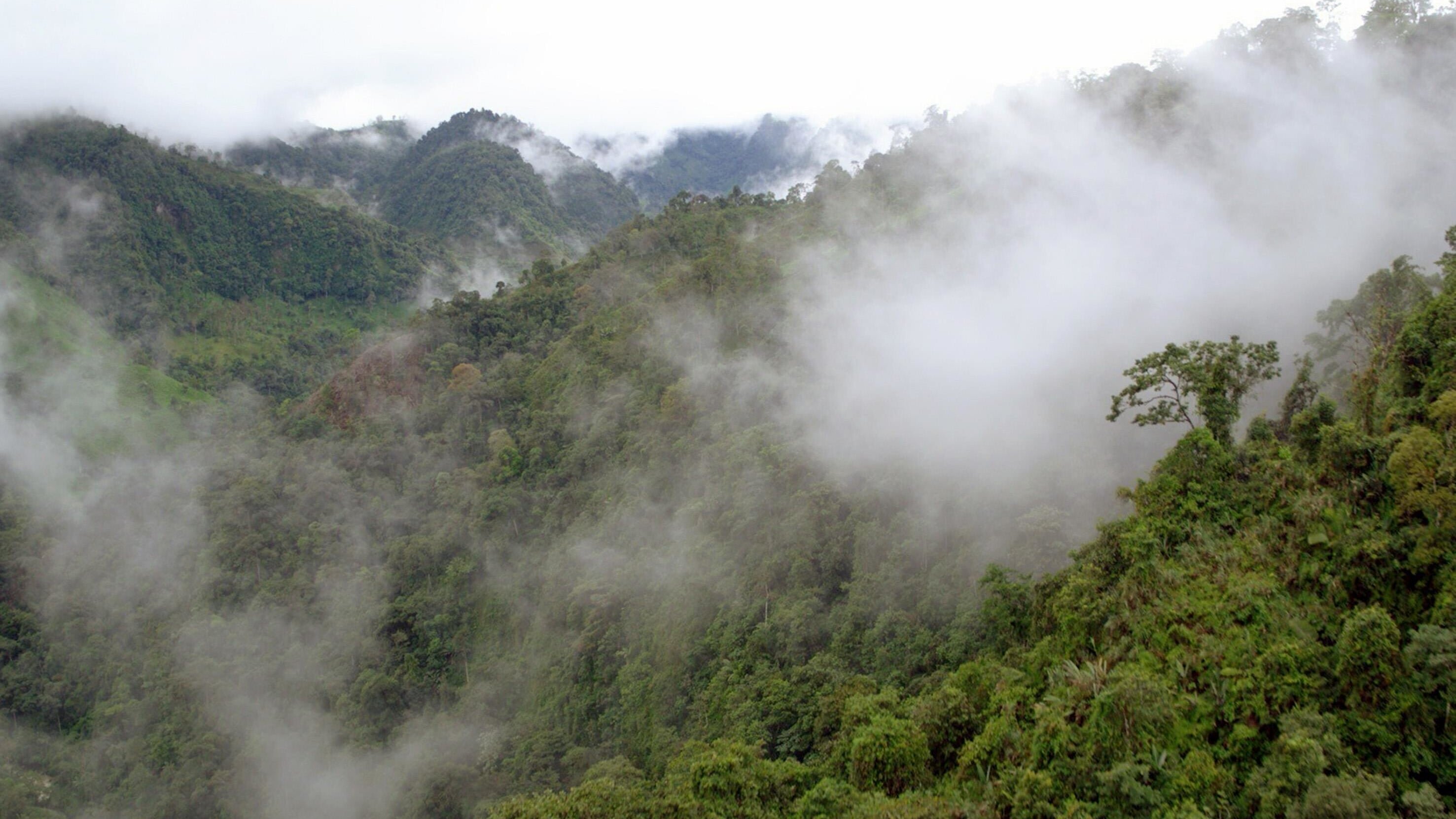 planet schule: Naturparadiese mit Zukunft – Ecuador