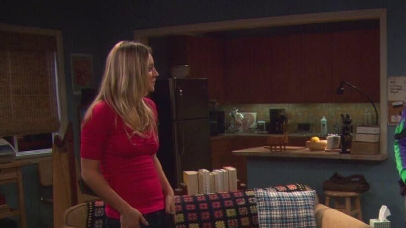 The Big Bang Theory