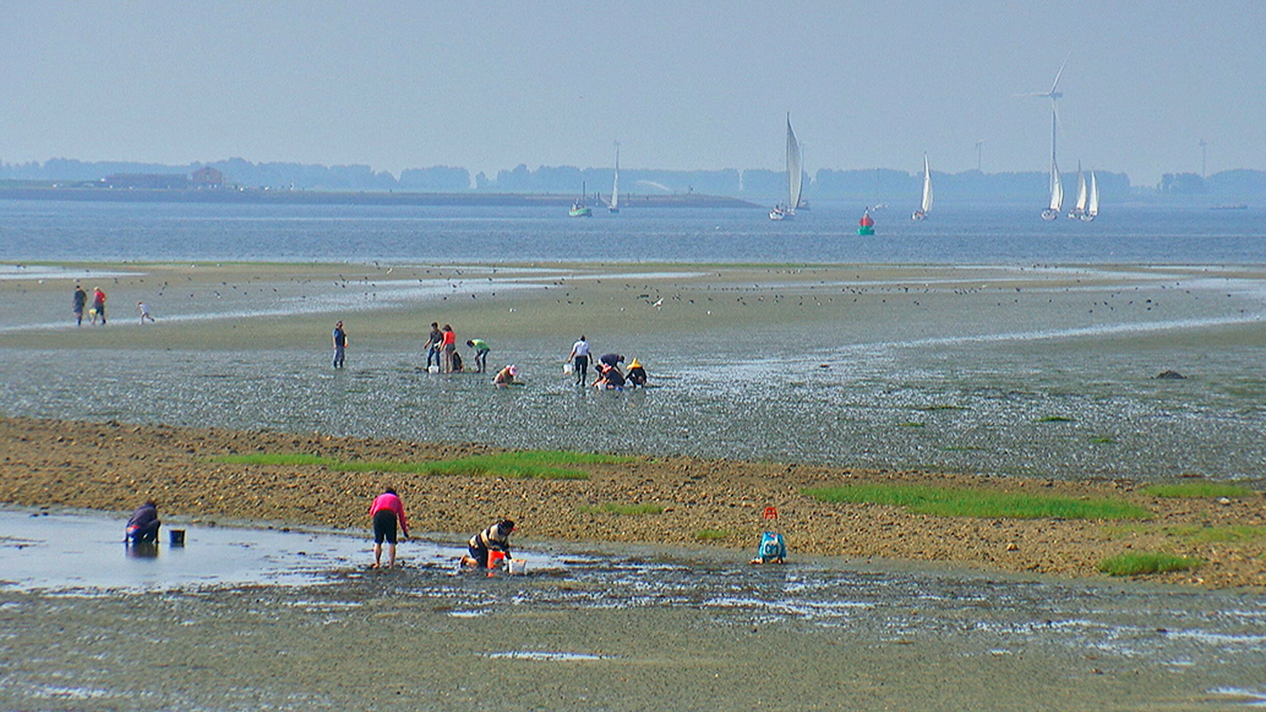 Land im Gezeitenstrom