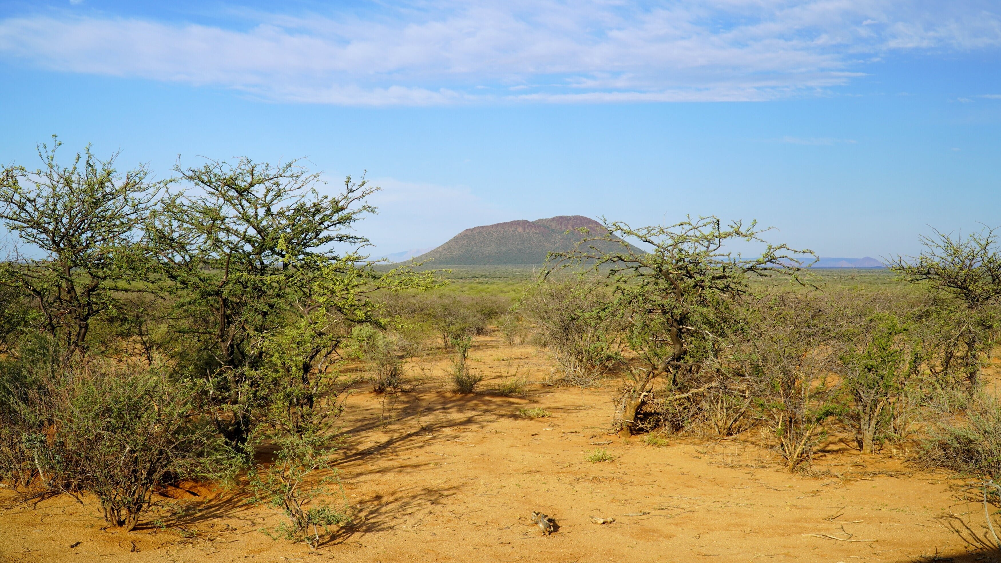 Abenteuer Namibia