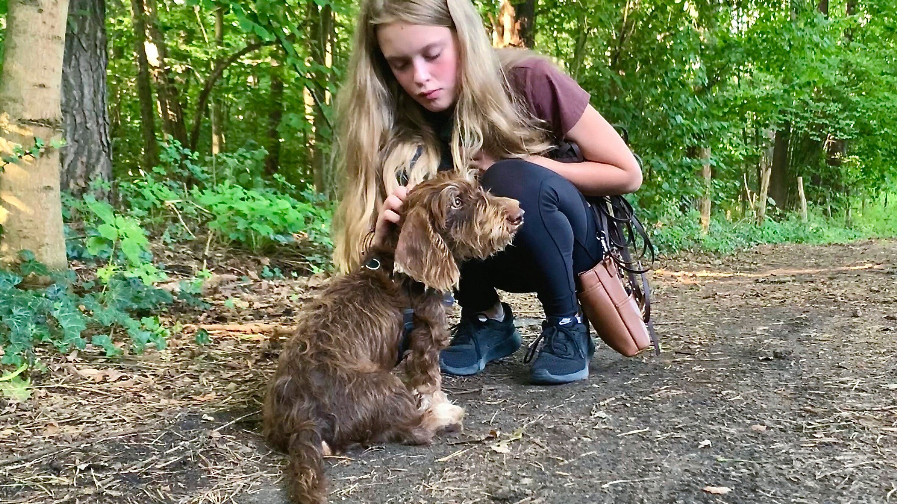 Liebste Fellnasen – Abenteuer Hundeschule