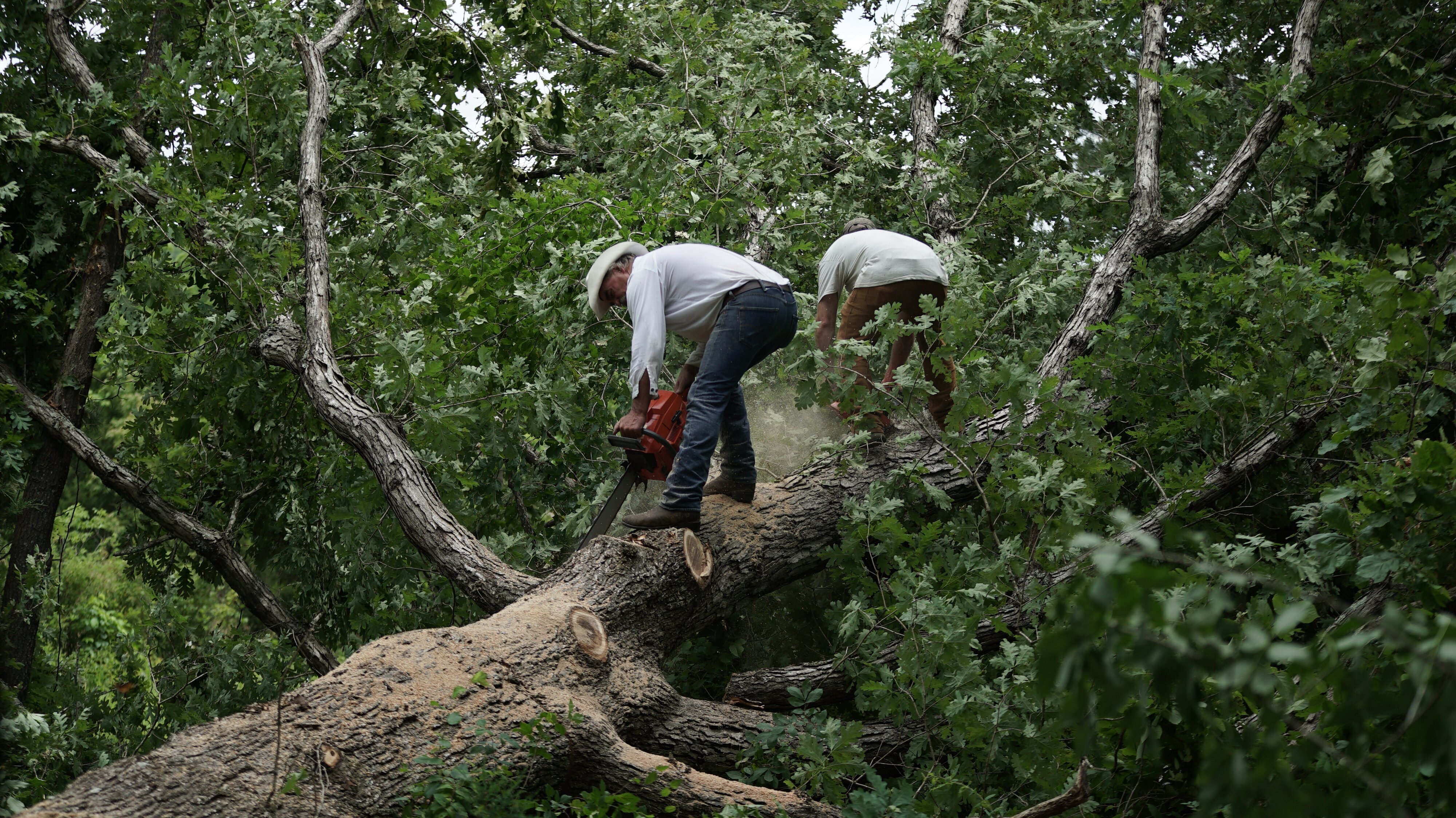 Home Rescue – Wohnen in der Wildnis